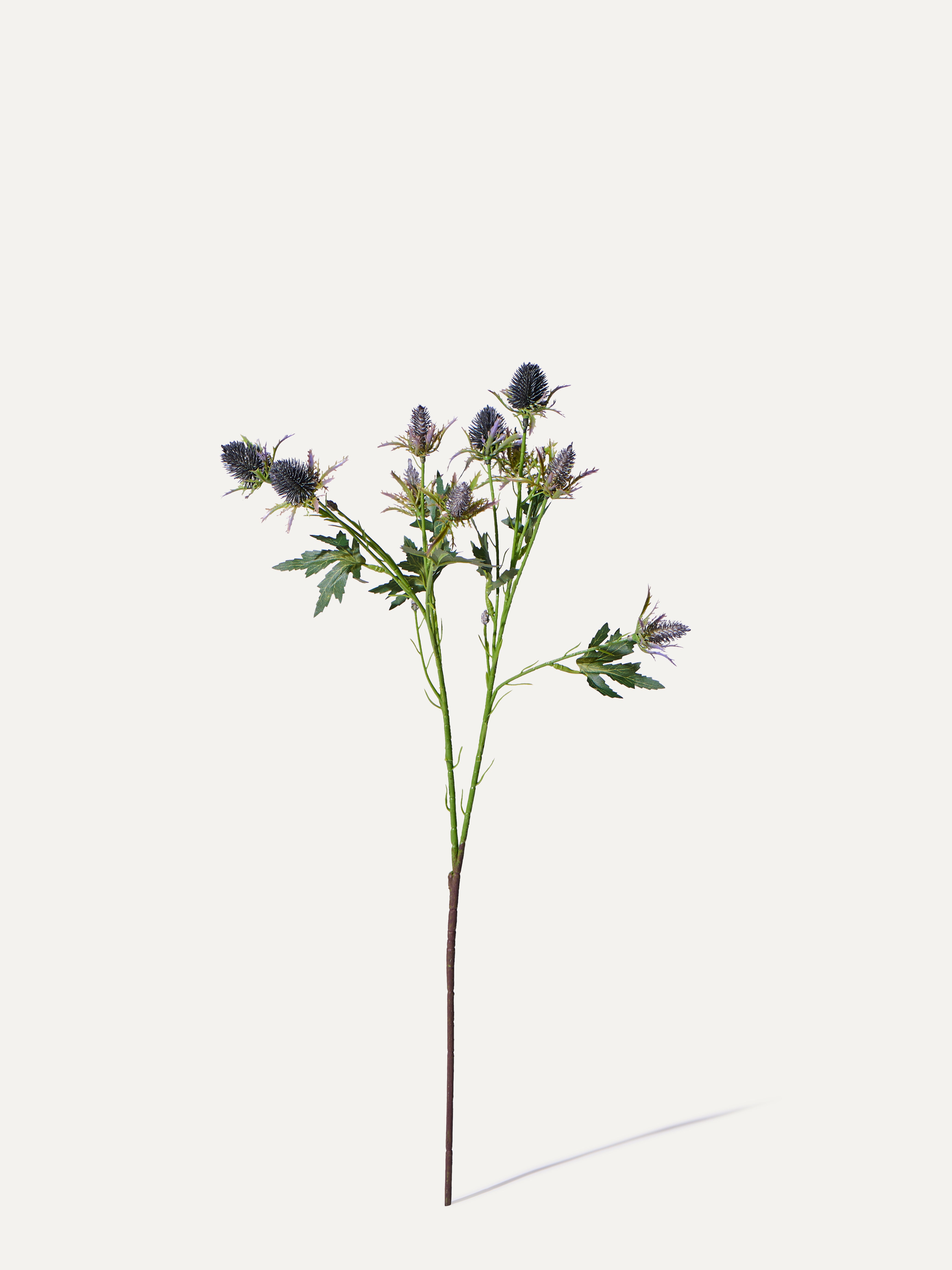 Eryngium-Zweig 68 cm 1 Stk. - Kunstzweig