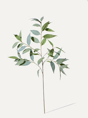Eukalyptus-Zweig 93 cm 1 Stk. - Kunstzweig