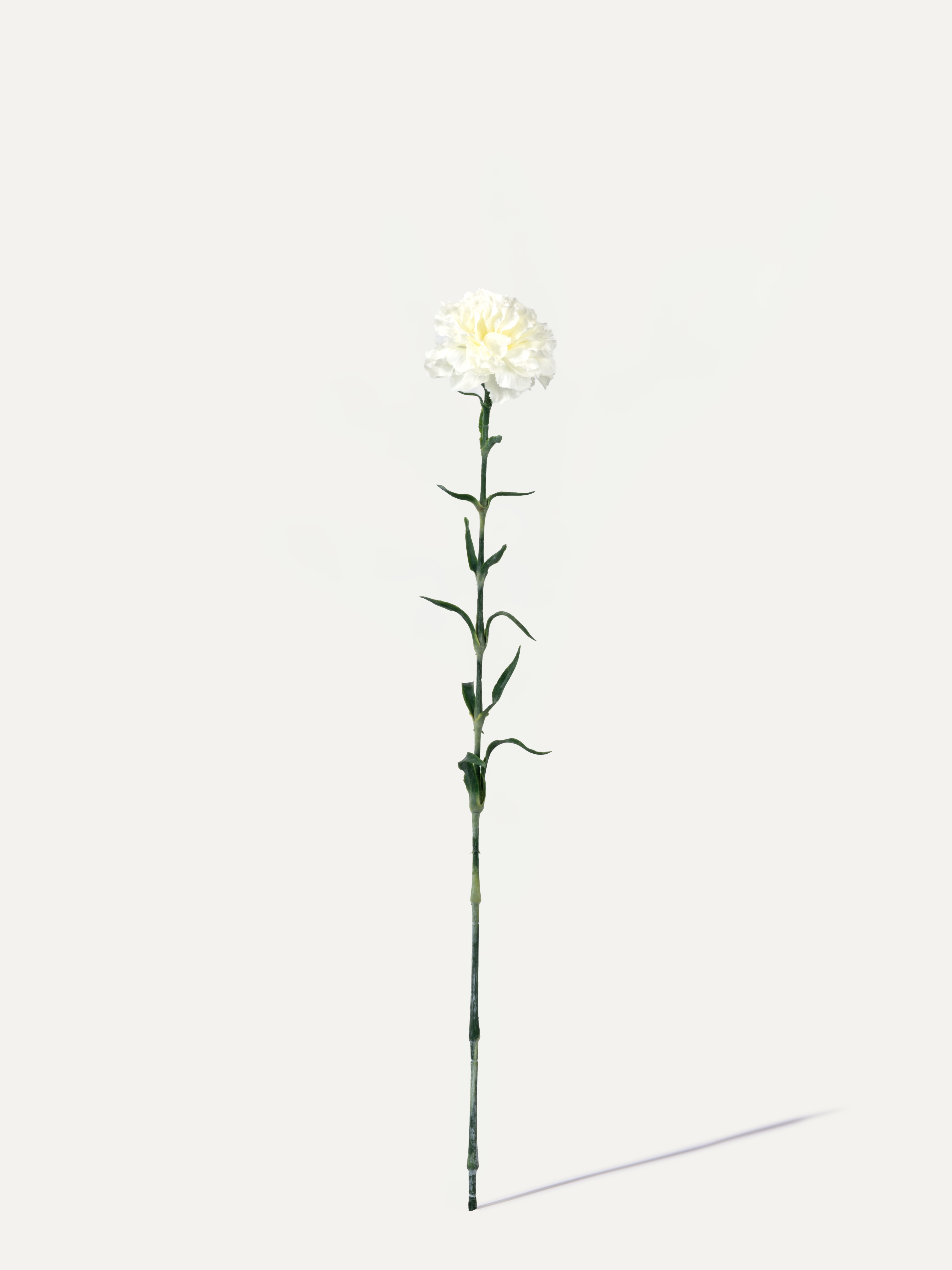 Nelke 67 cm 1 Stk. - Kunstblume