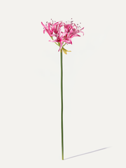 Nerine 75 cm 1 piece - artificial flower 