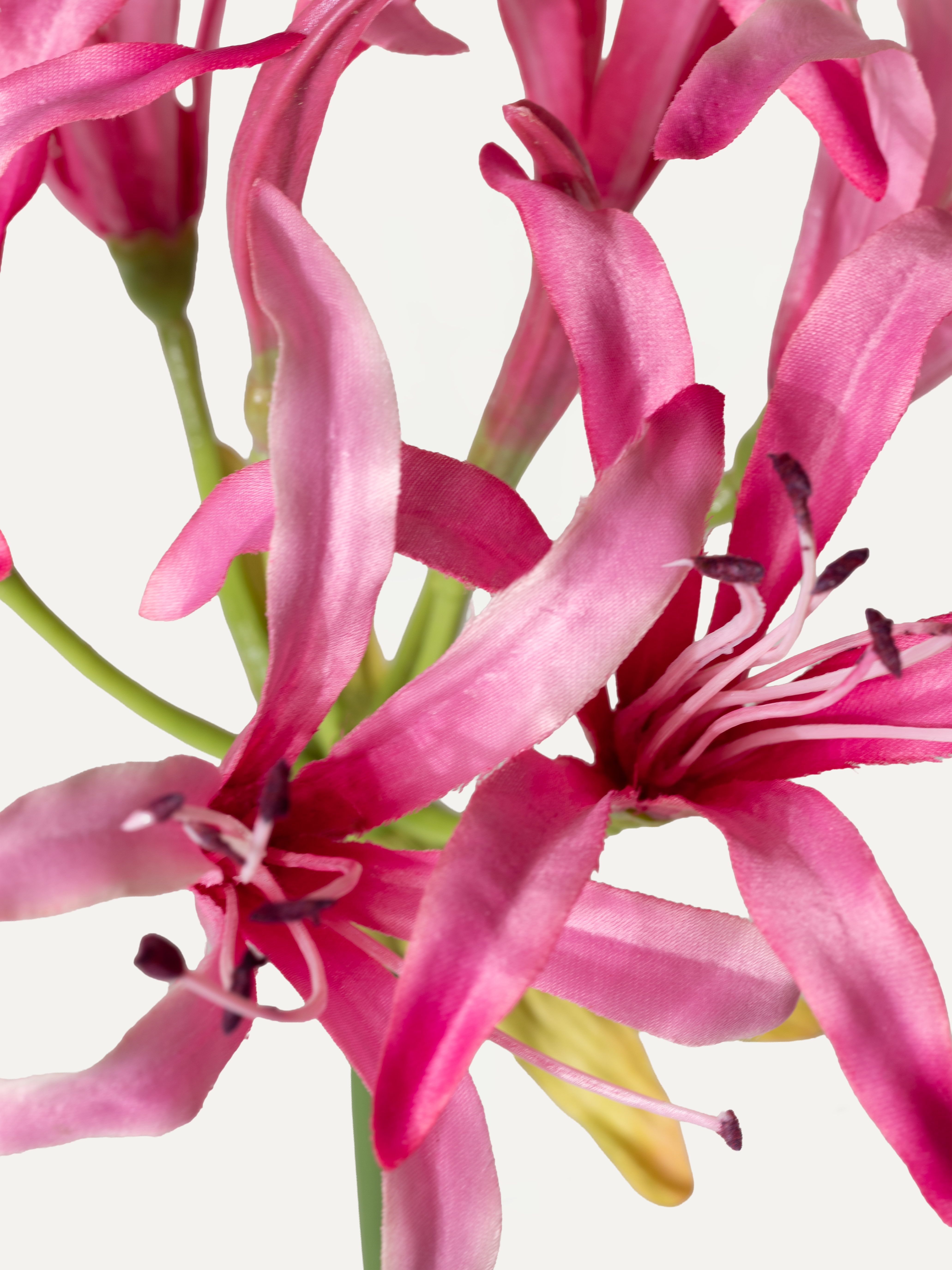 Nerine 75 cm 1 piece - artificial flower 