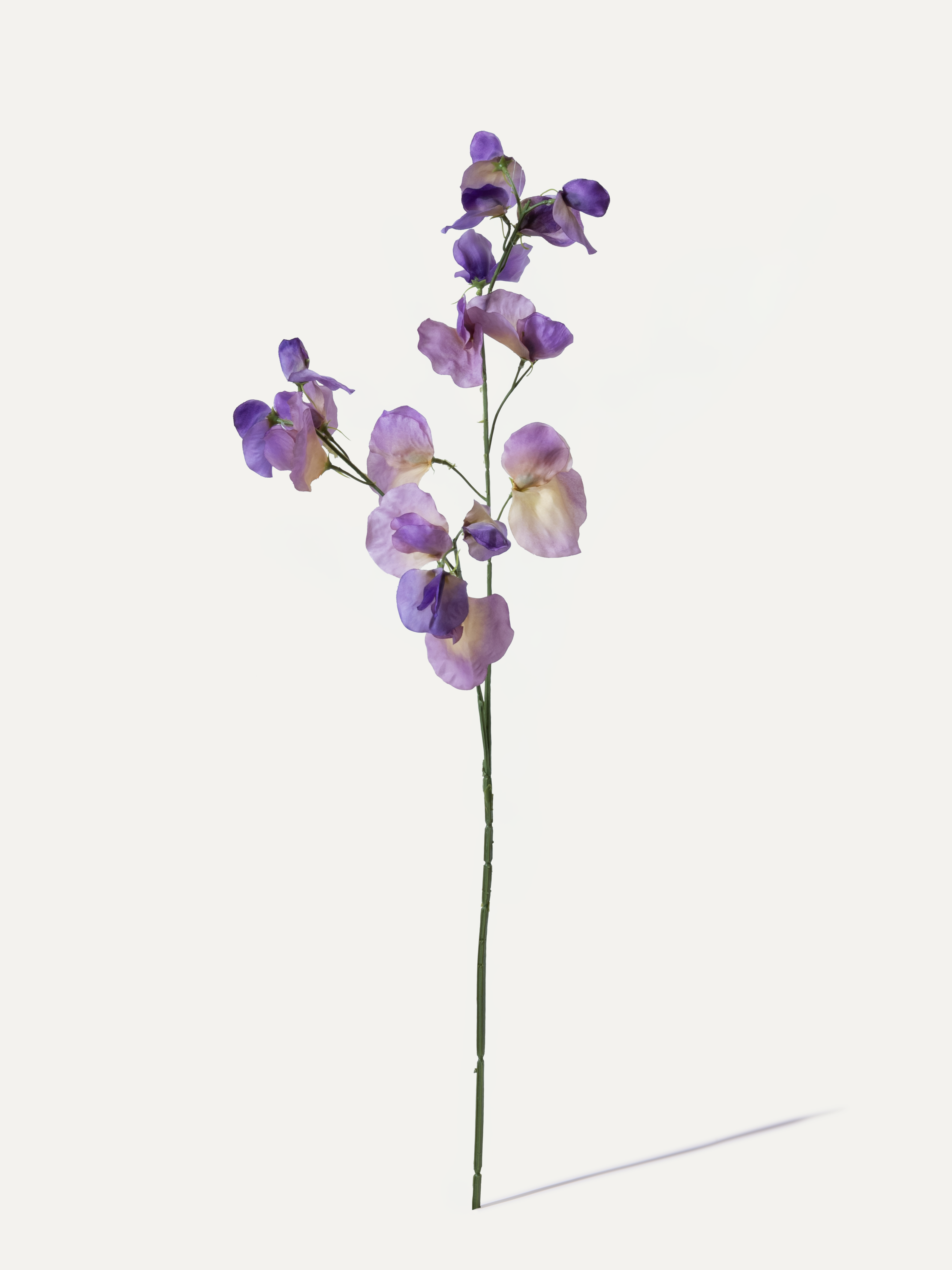 Edelwicke 75 cm 1 Stk. - Kunstblume
