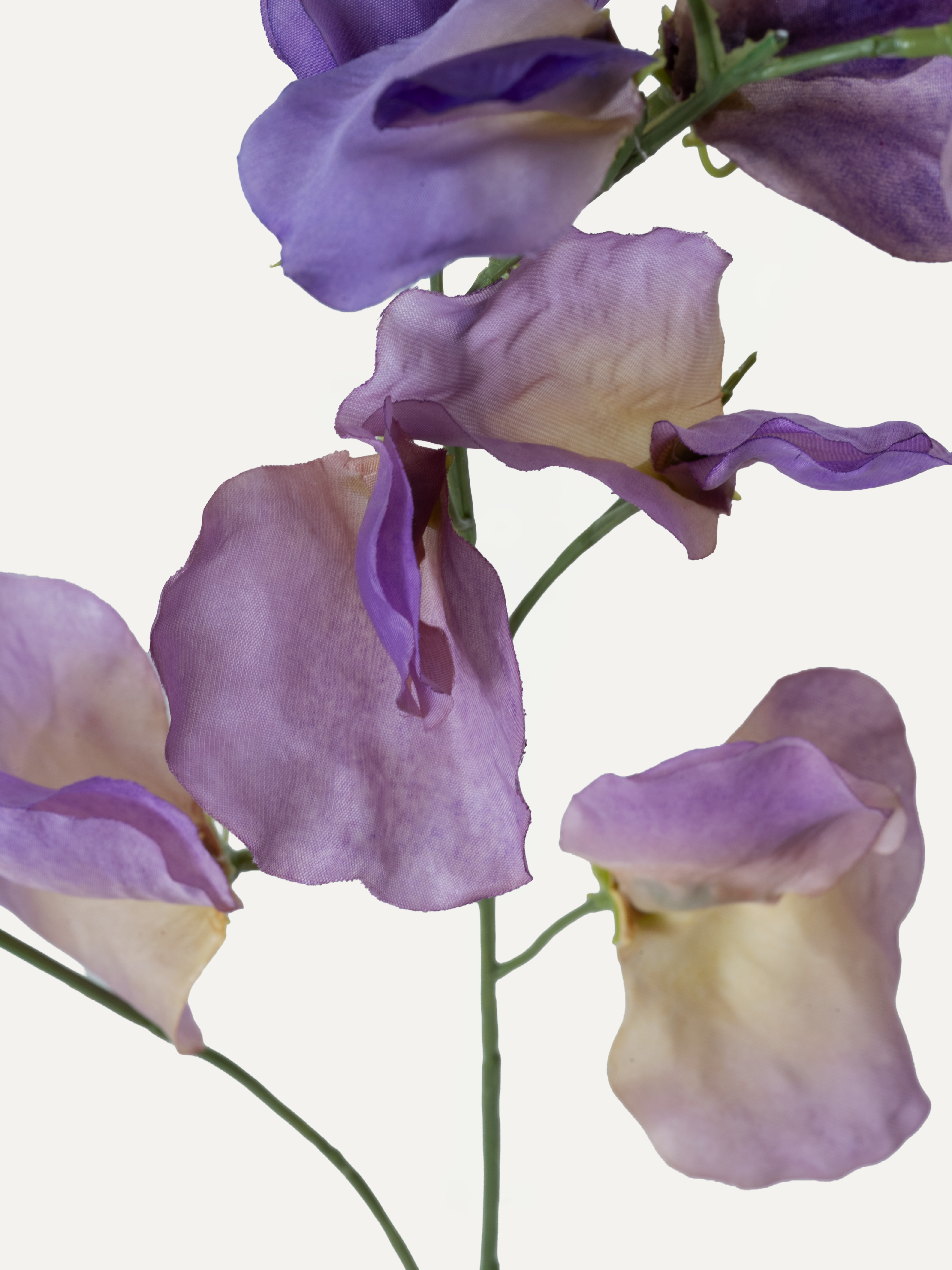 Pois de senteur 75 cm 1 pc - Fleur artificielle