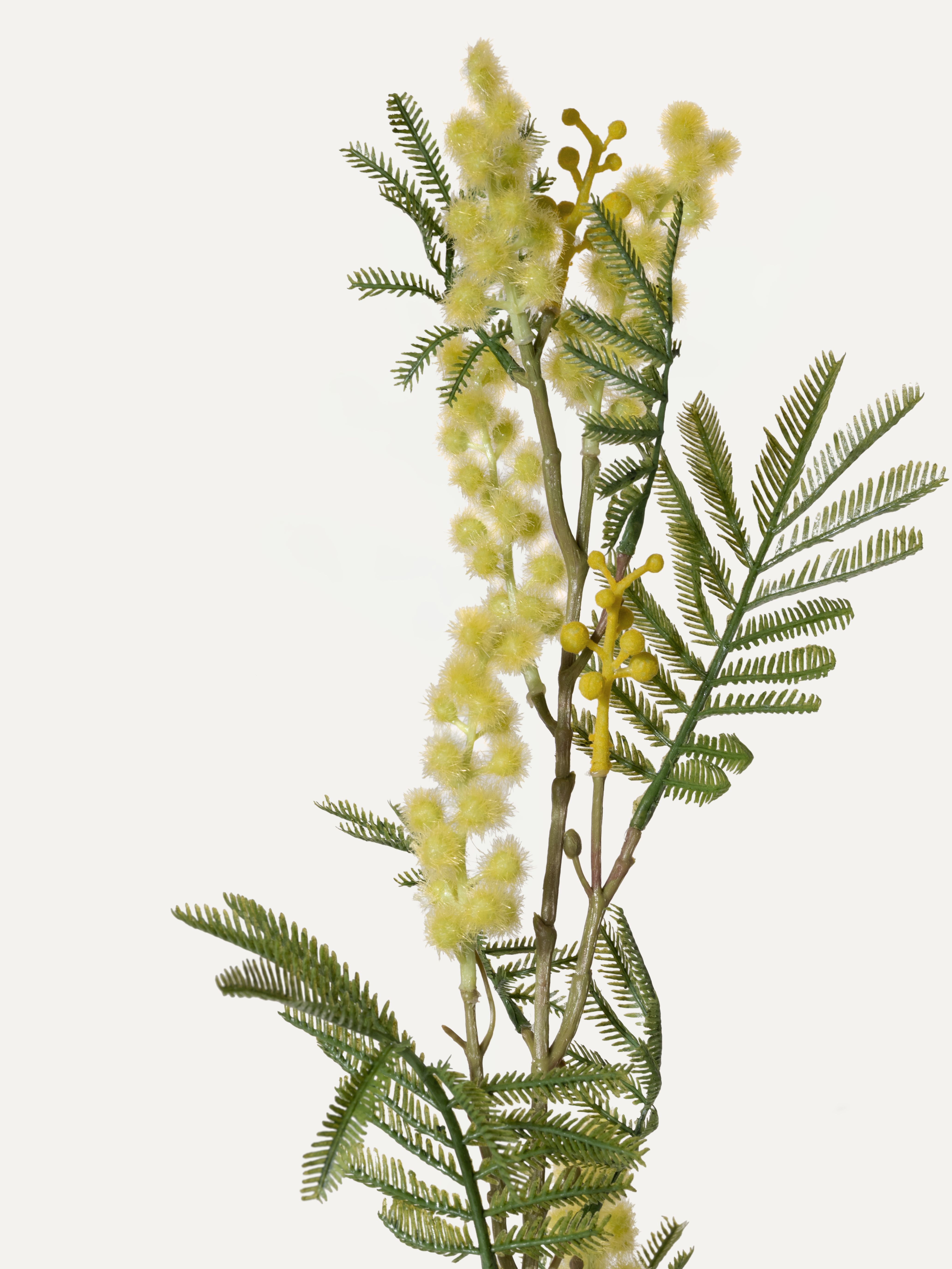Branche de mimosa 110 cm, 1 pièce - branche artificielle