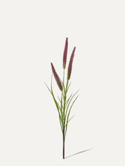 Fuchsschwanz 85 cm 1 Stk. - Kunstzweig