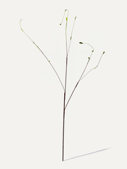 Blätterzweig 130 cm 1 Stk. - Kunstzweig