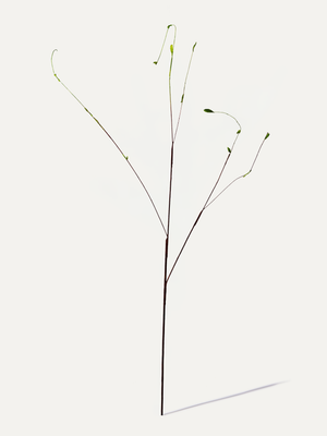 Leafy branch 130 cm 1 pc. - Artificial branch 