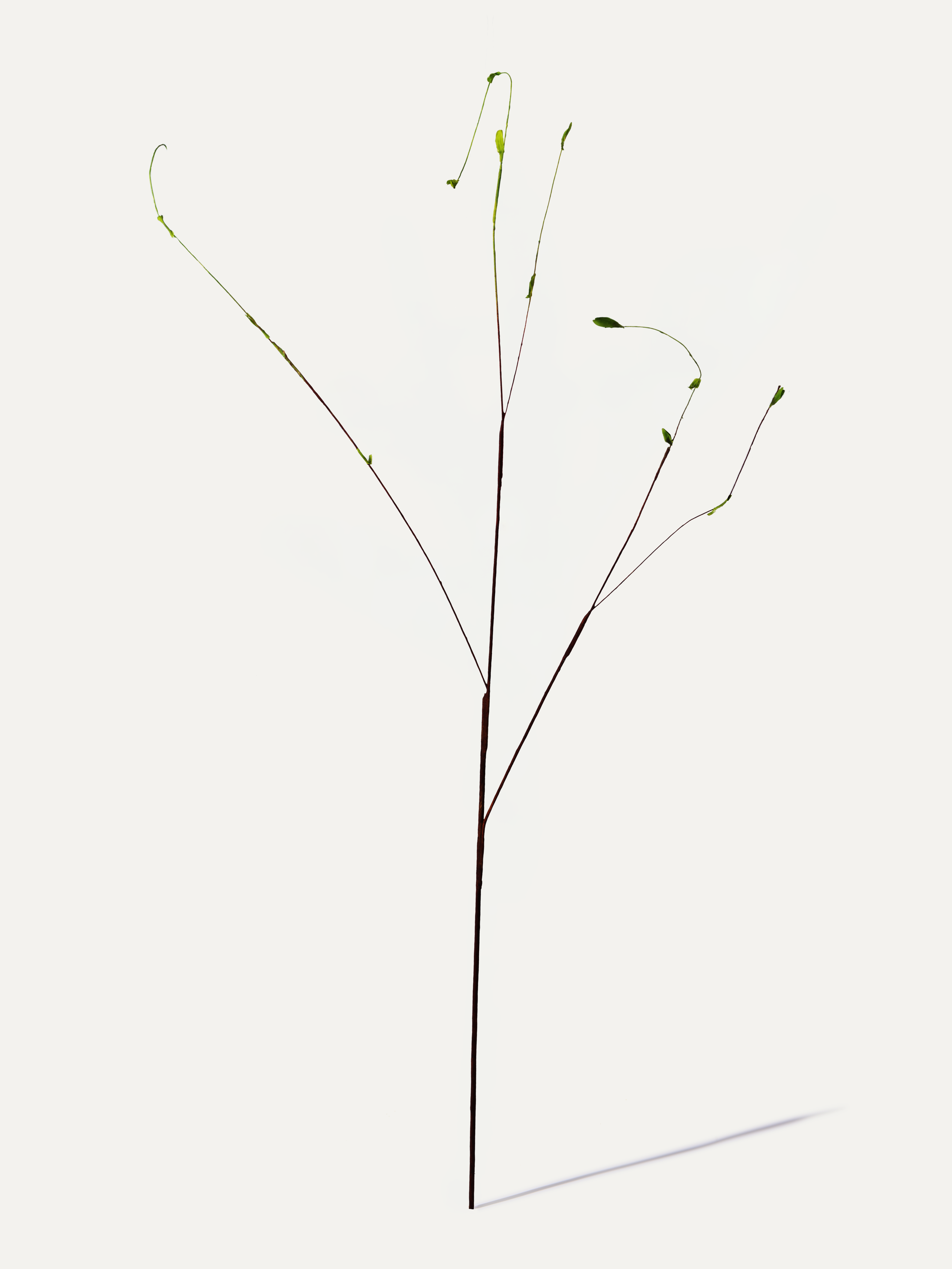 Blätterzweig 130 cm 1 Stk. - Kunstzweig