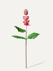 Medinilla 110 cm 1 Stk. - Kunstblume