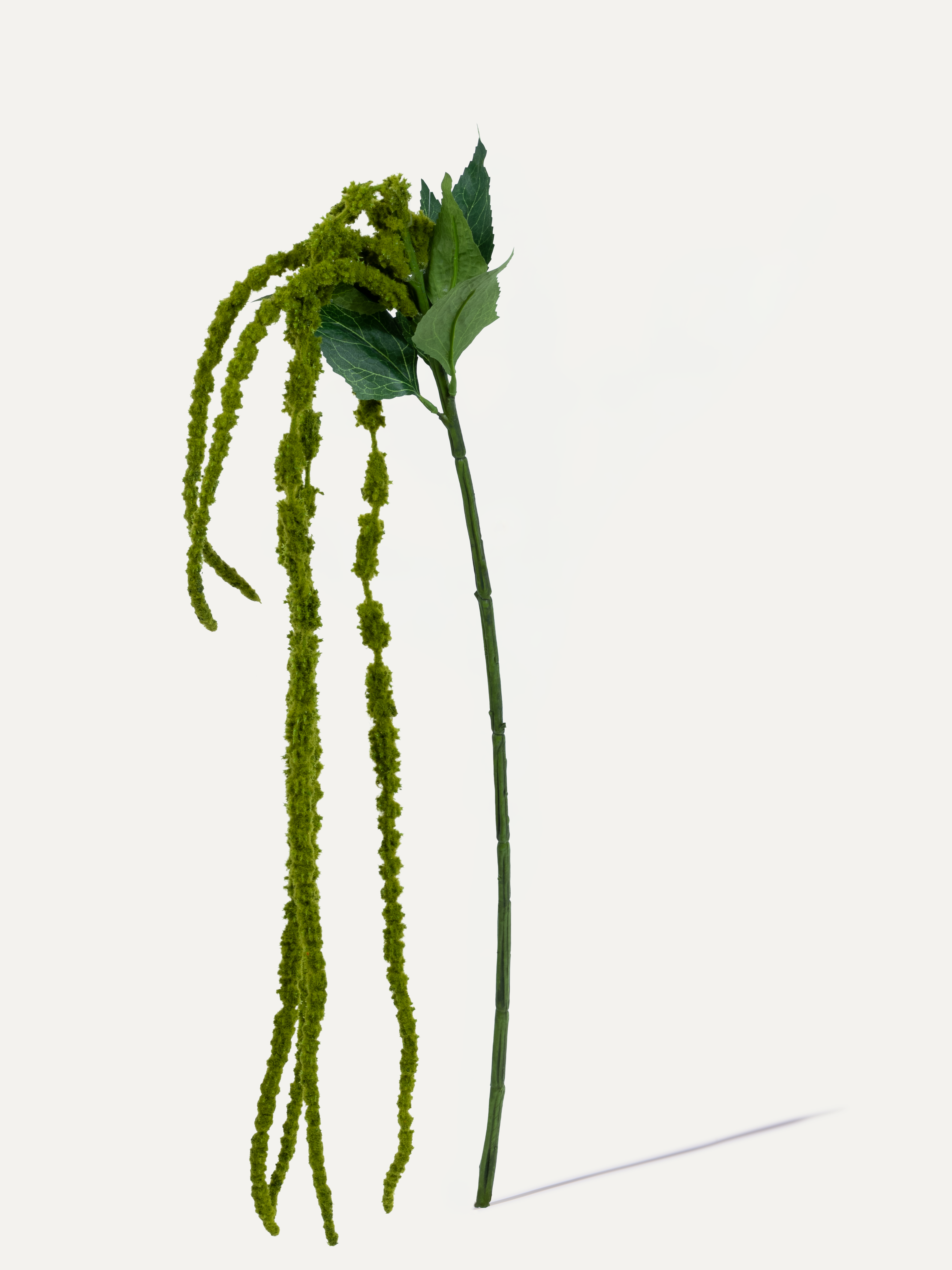 Foxtail 120 cm 1 pc. - Artificial branch