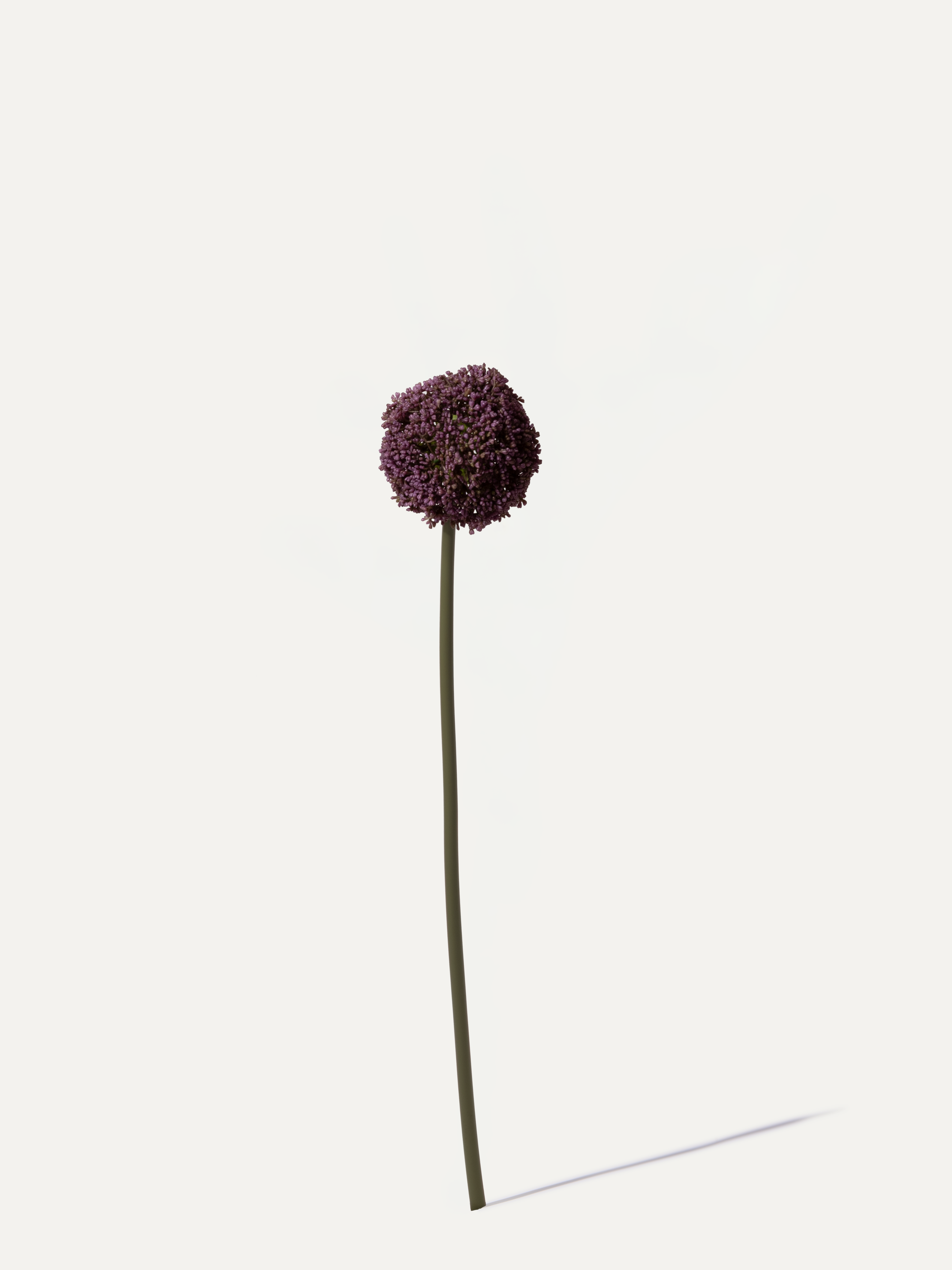 Allium 74 cm 1 Stk. - Kunstblume