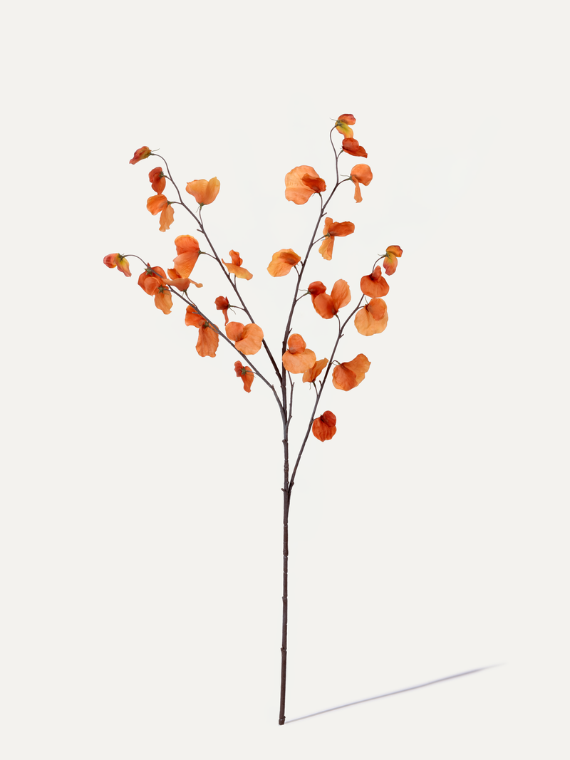 Platterbse 110 cm 1 Stk. - Kunstzweig