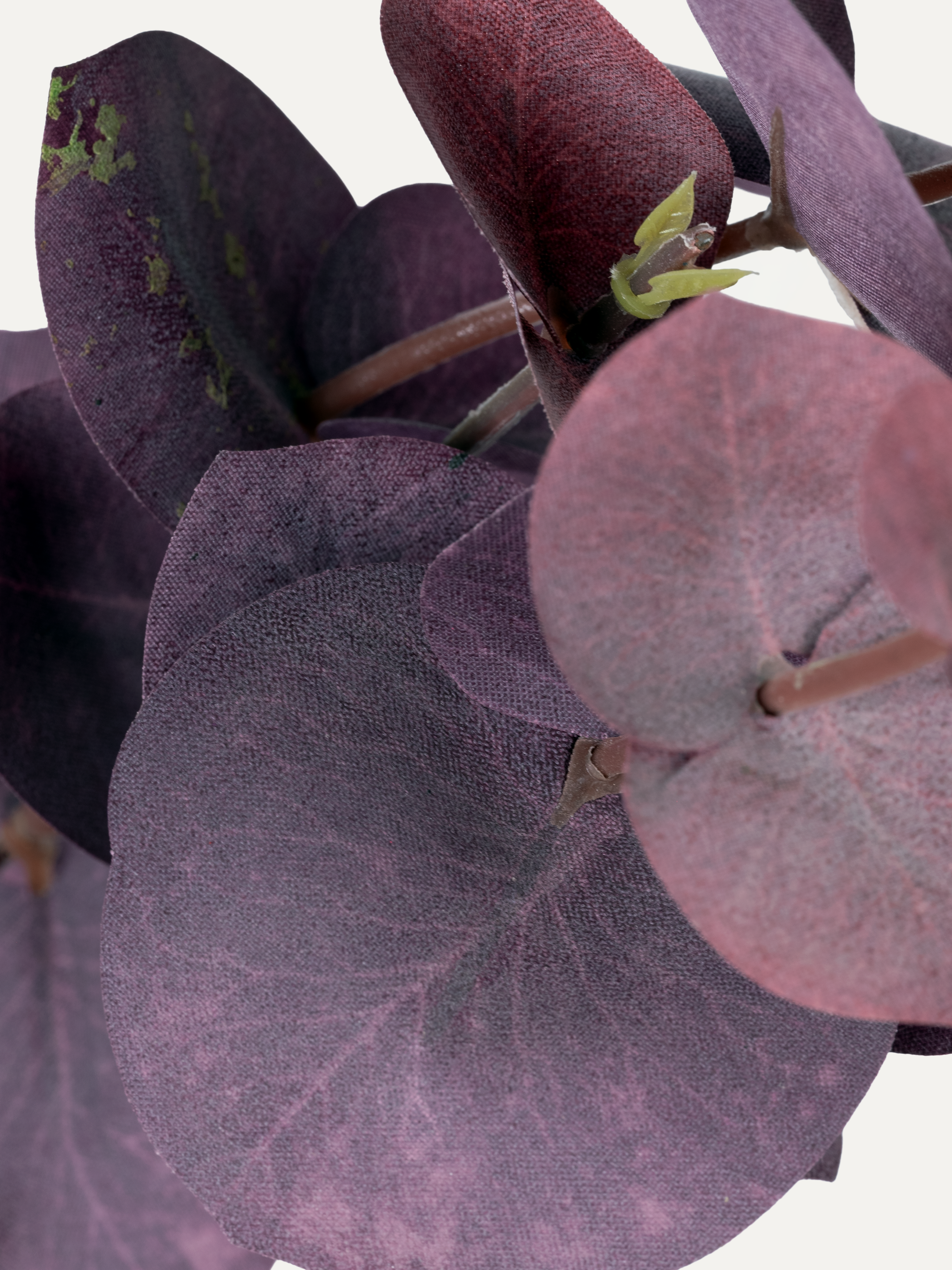 Eucalyptus branch 97 cm 1 pc. - Artificial branch
