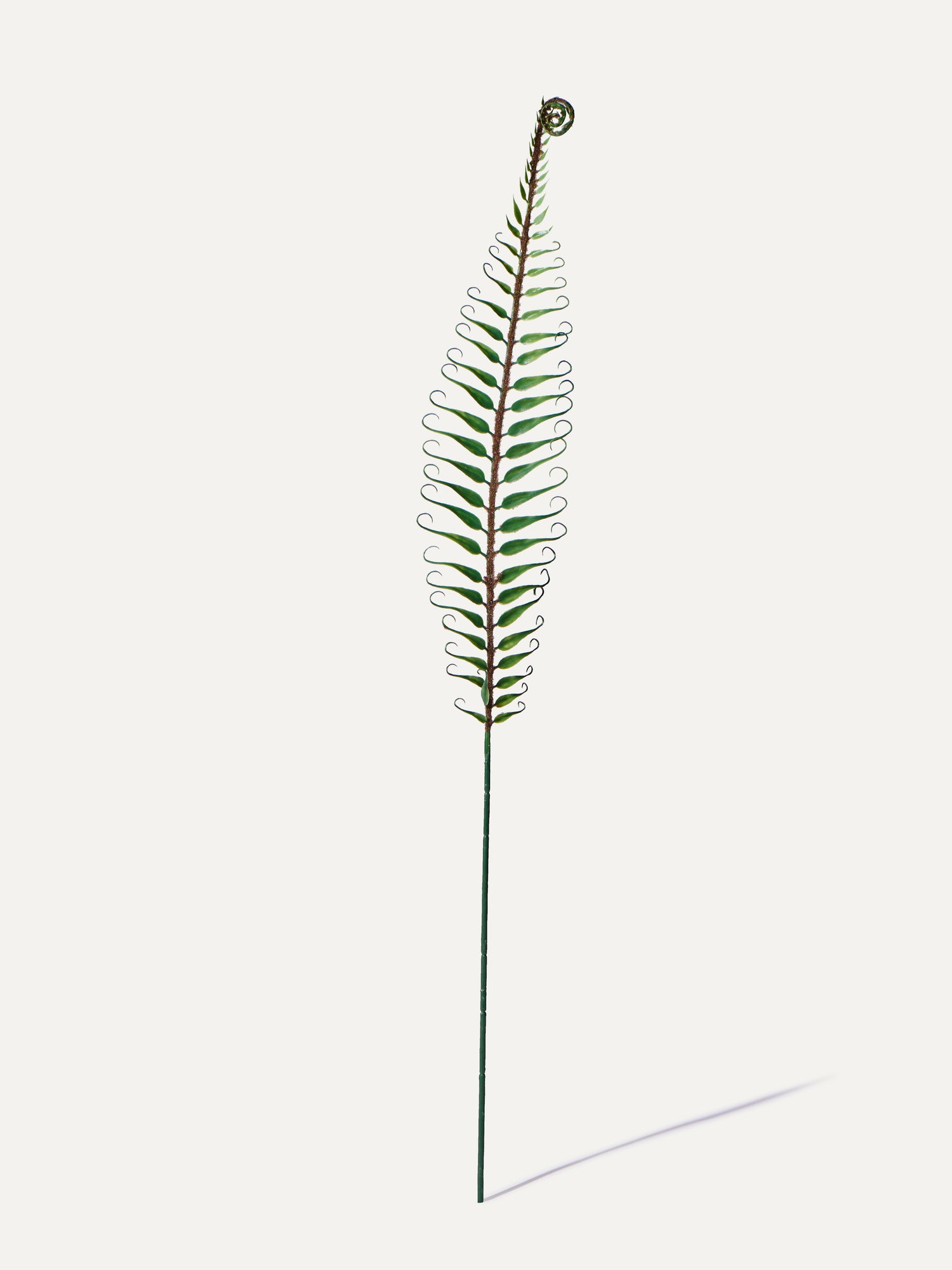 Farnzweig 92 cm 1 Stk. - Kunstzweig