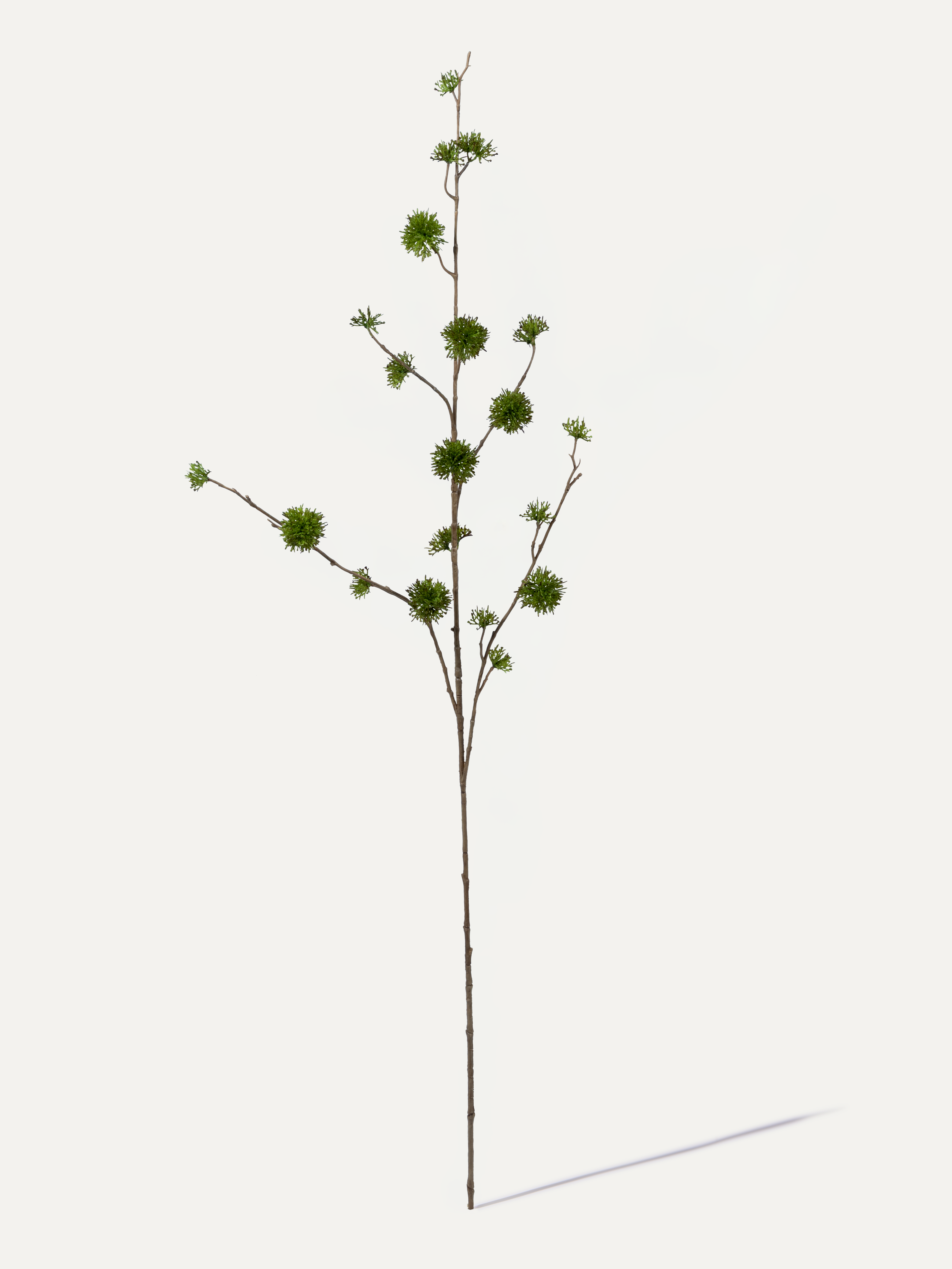 Chestnut Branch 120 cm 1 pc. - Artificial Branch