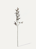 Quaking Grass Branch 100 cm 1 pc. - Artificial Branch