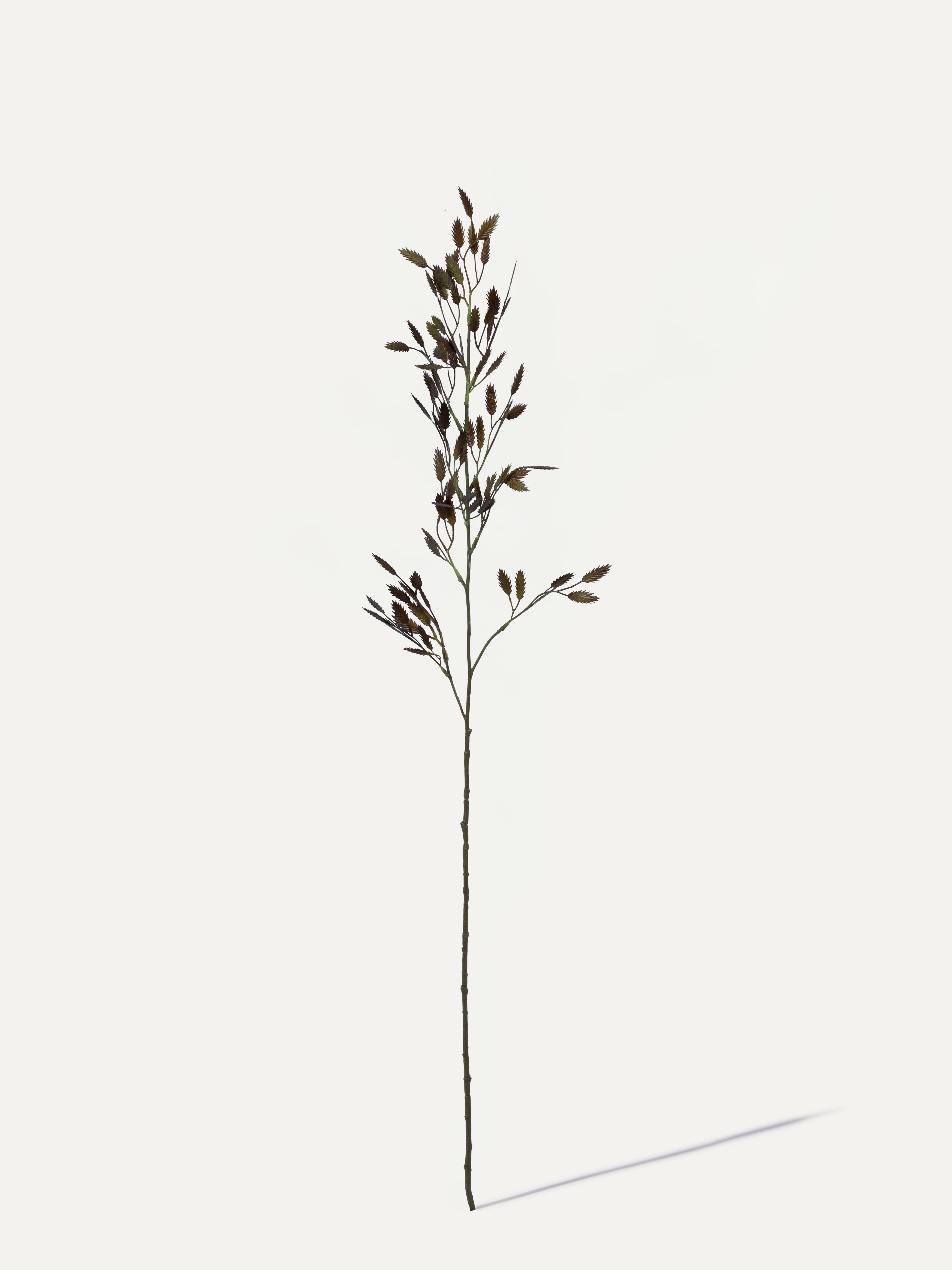 Quaking Grass Branch 100 cm 1 pc. - Artificial Branch