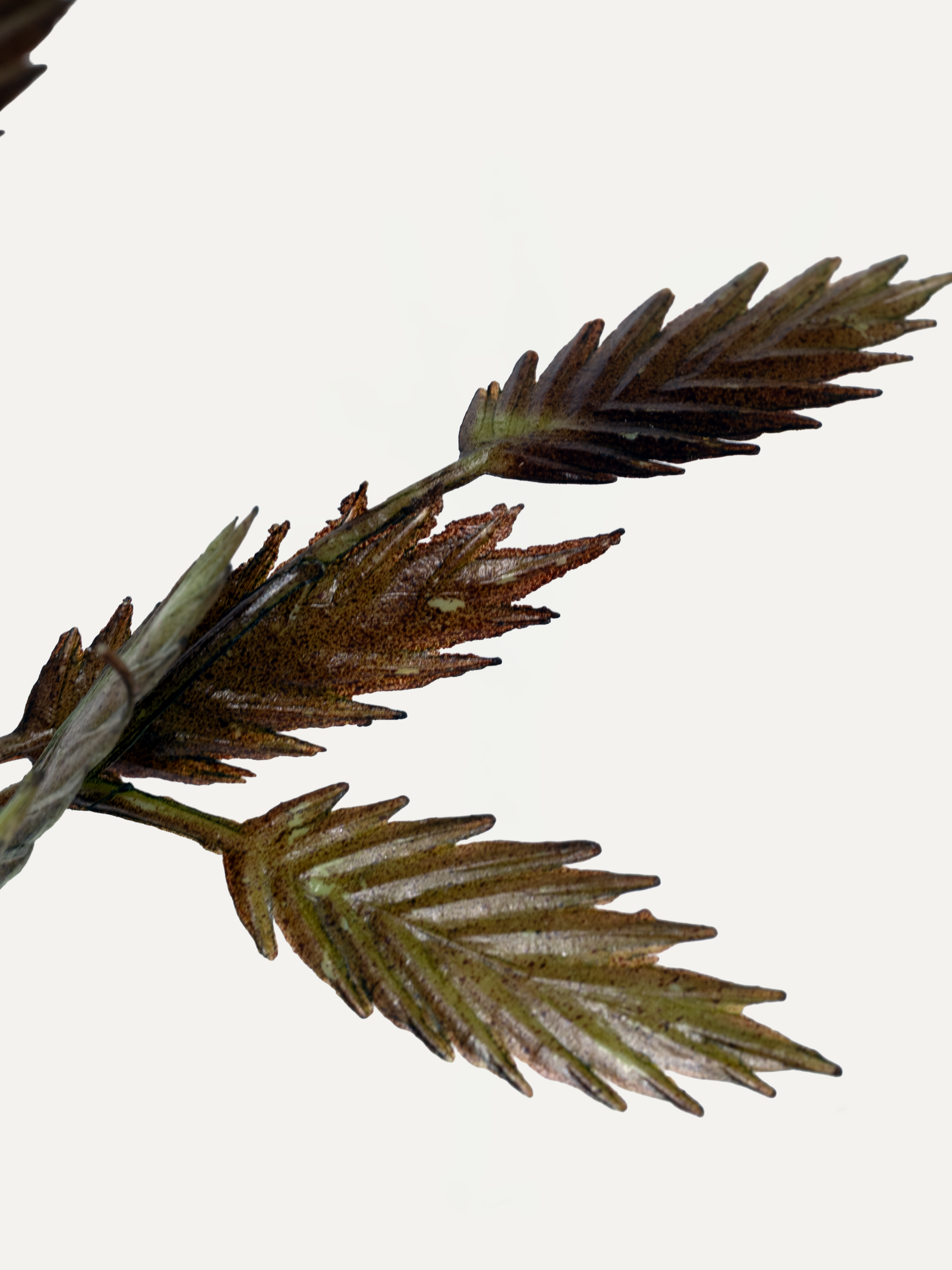 Quaking Grass Branch 100 cm 1 pc. - Artificial Branch