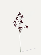 Branche de patte de kangourou 85 cm 1 pce - Branche artificielle