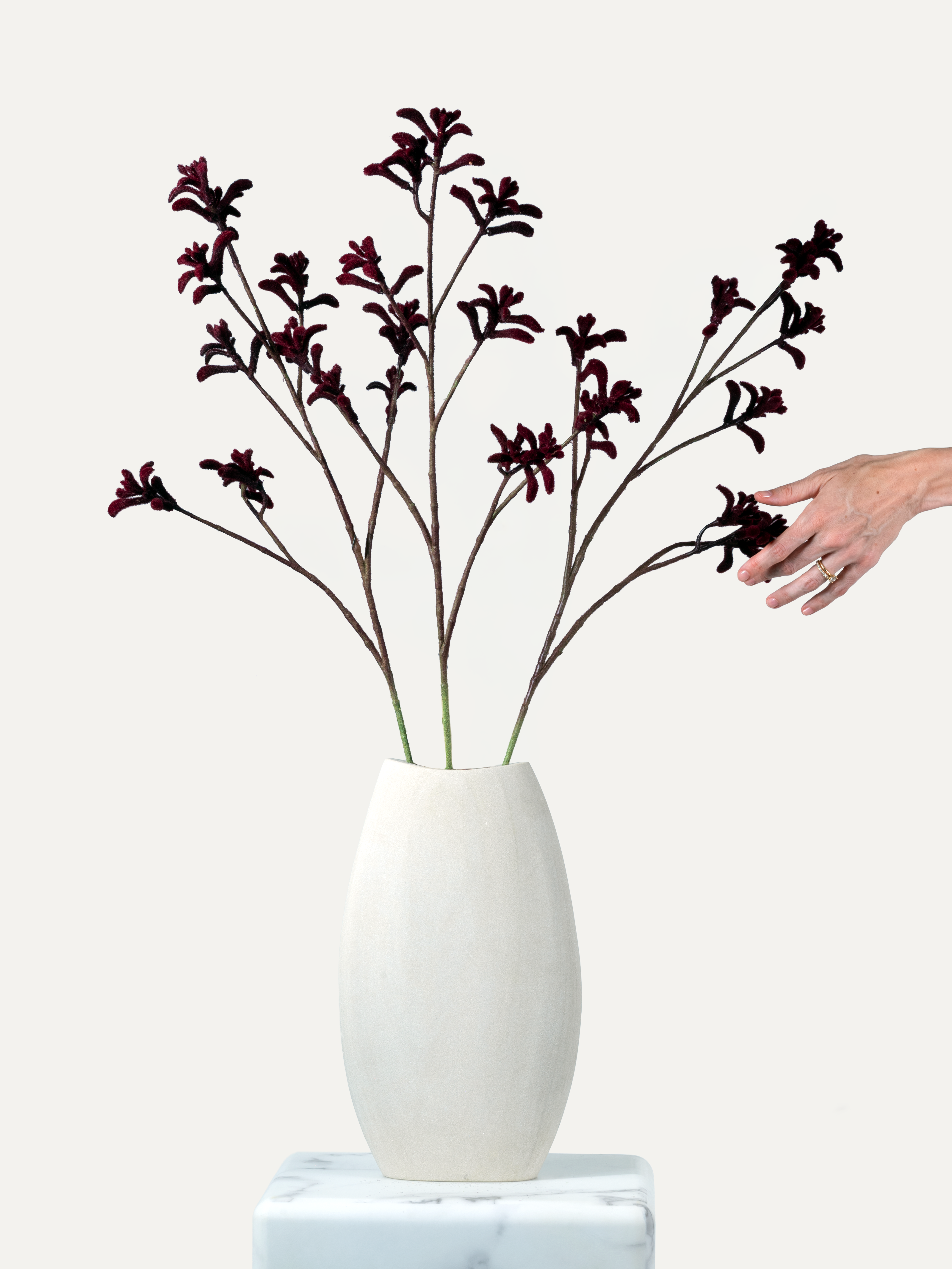 Kangaroo Paw Branch 85 cm 1 pc. - Artificial Branch