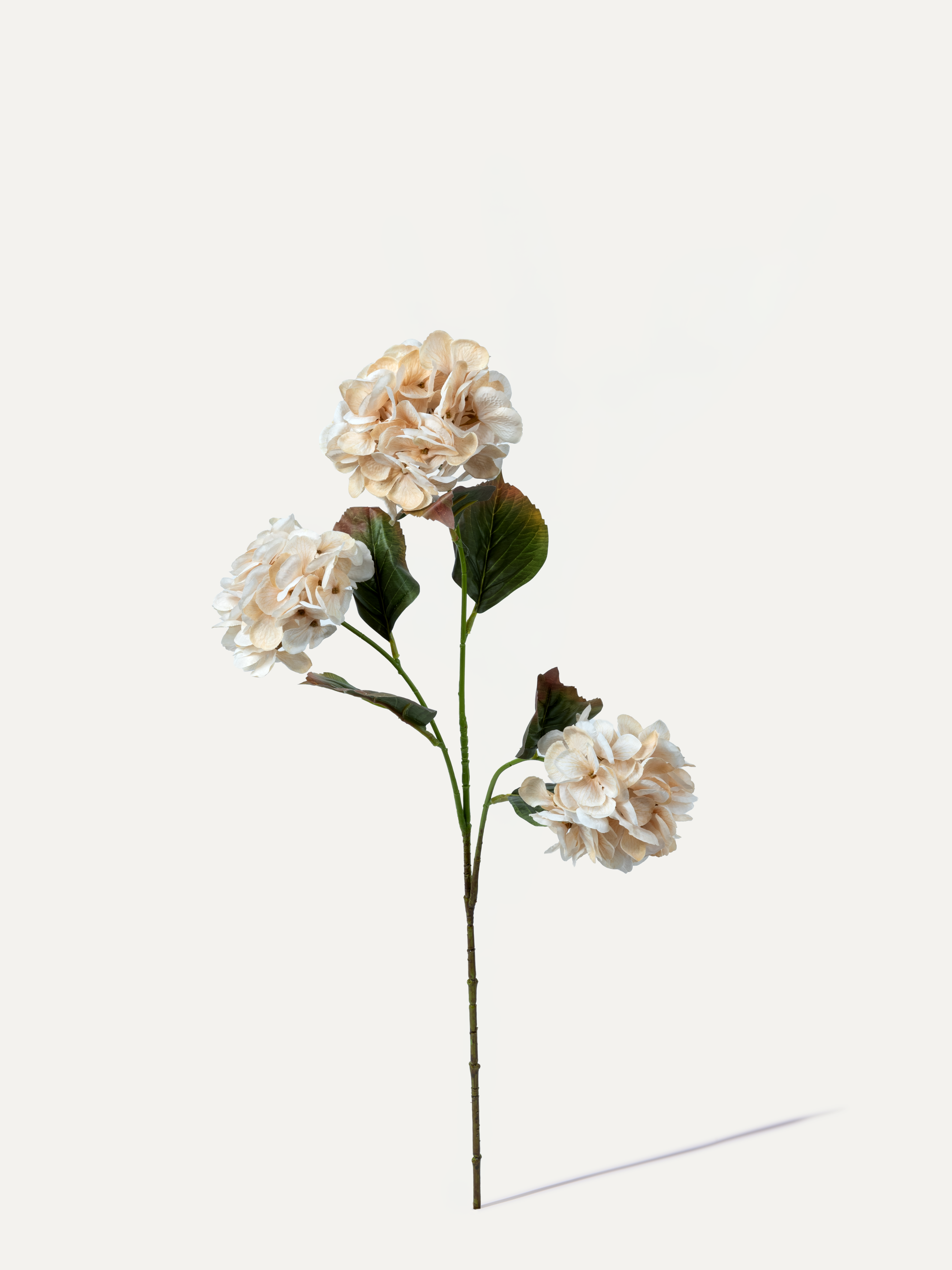 Hydrangea 77 cm 1 pc - Artificial Flower