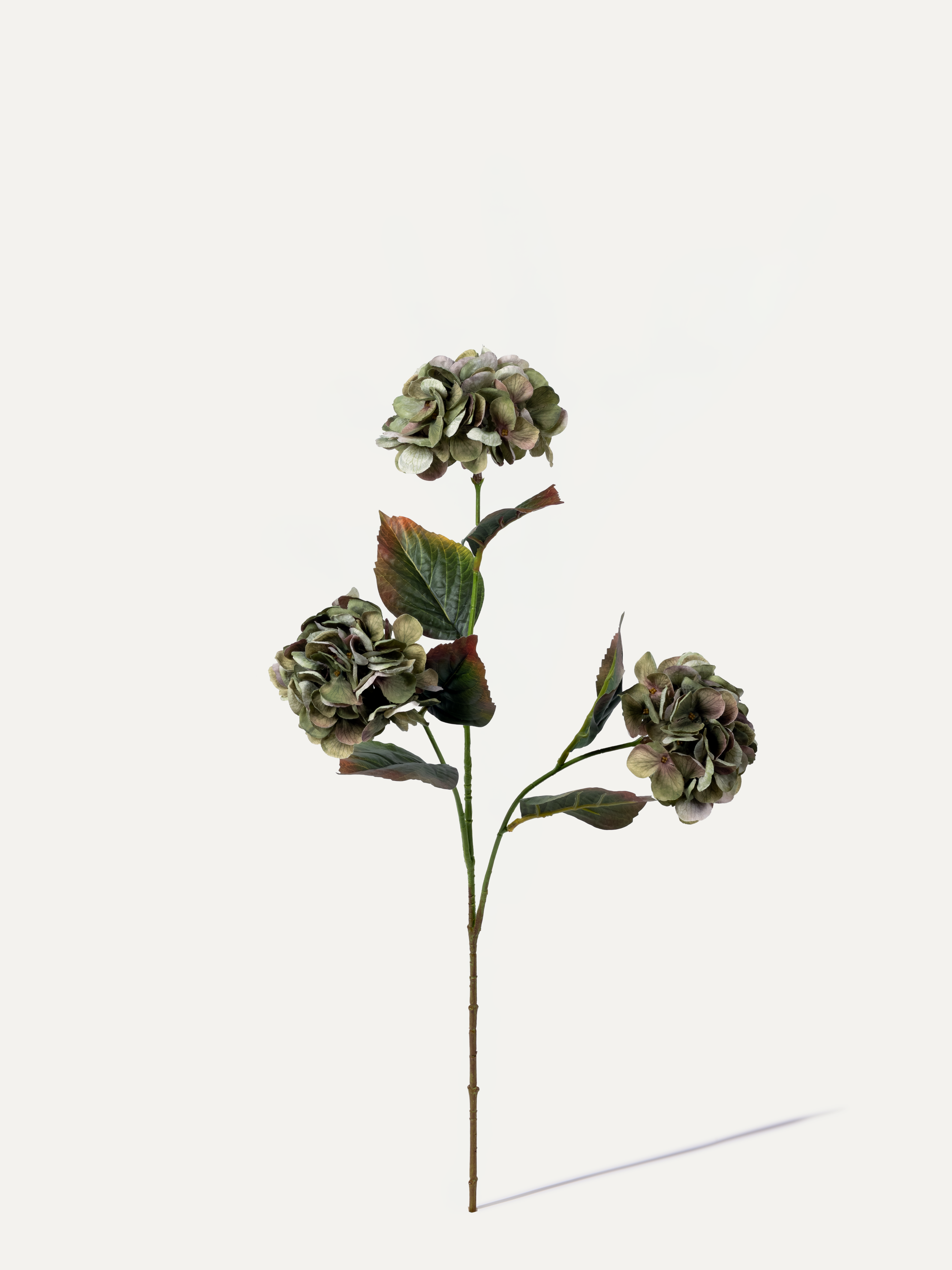 Hydrangea 77 cm 1 pc - Artificial Flower