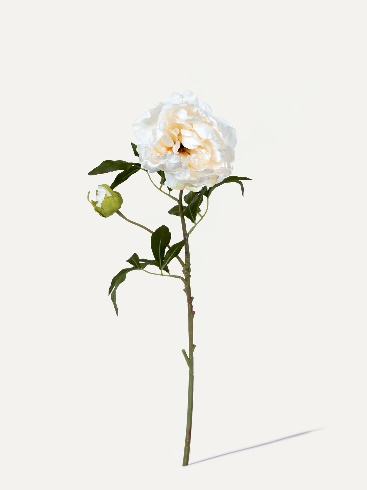 Pfingstrose 75 cm 1 Stk. - Kunstblume