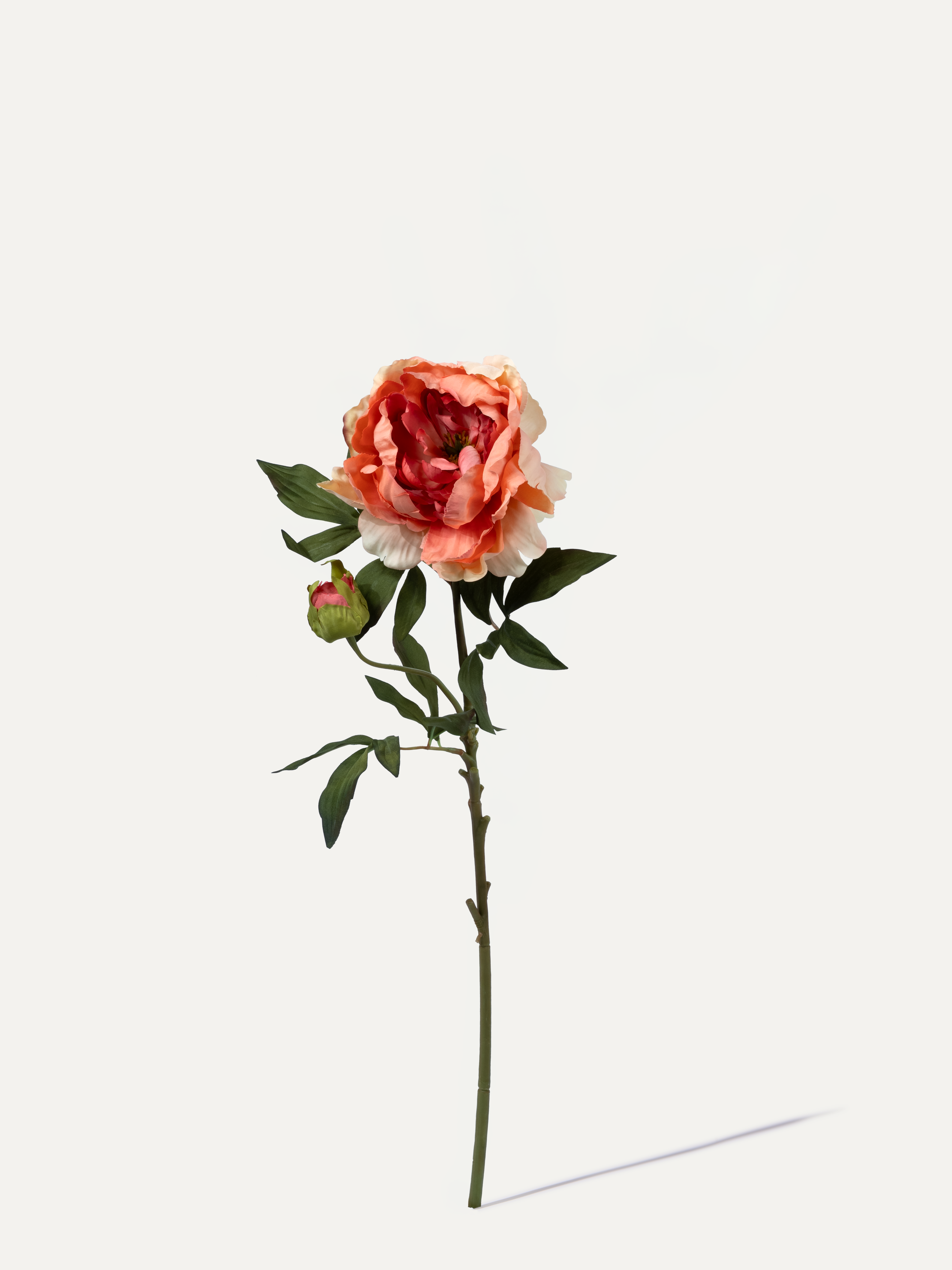 Peony 75 cm 1 pc. - Artificial Flower