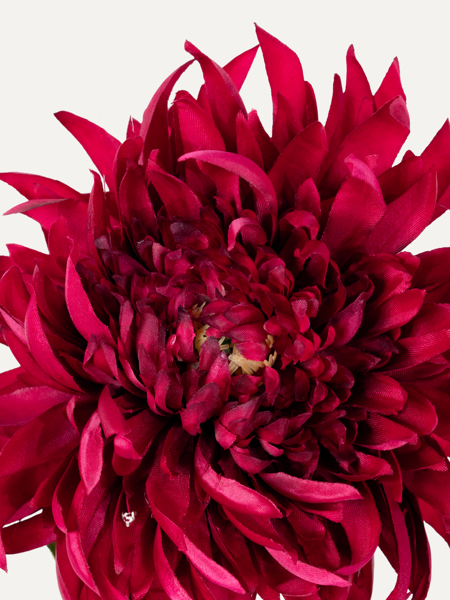 Chrysanthemen Bouquet "Beauty"