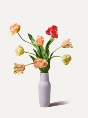 The Sorbet - Grösse M