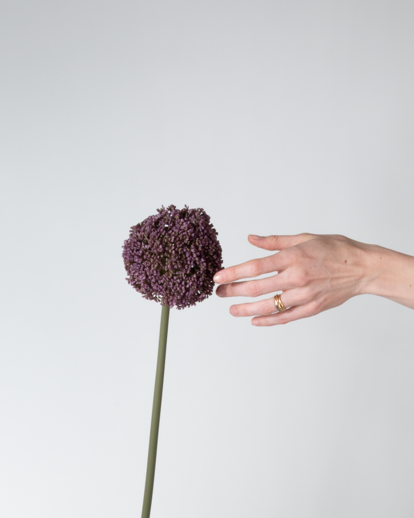 Allium 74 cm 1 pc. - Artificial flower 