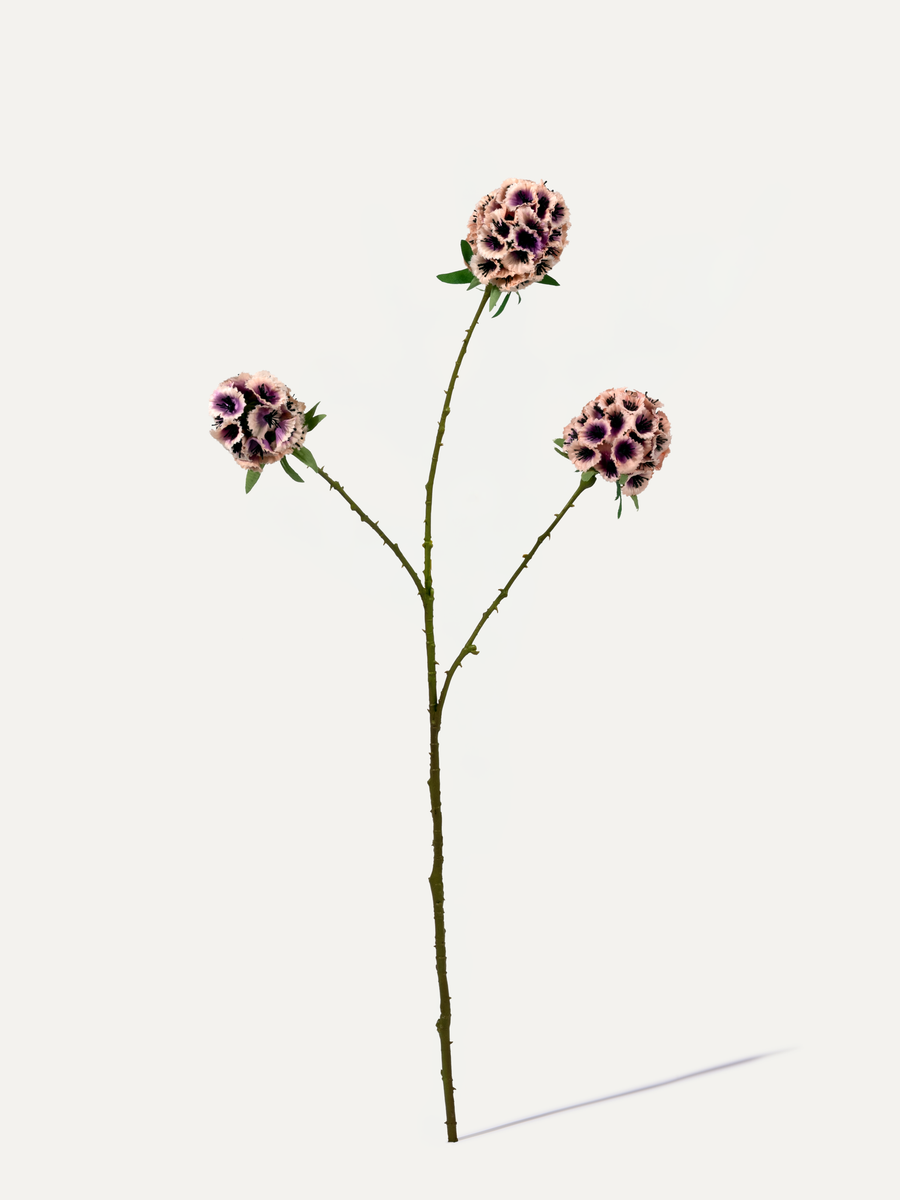 Scabieuse 72 cm 1 pce - Fleur artificielle