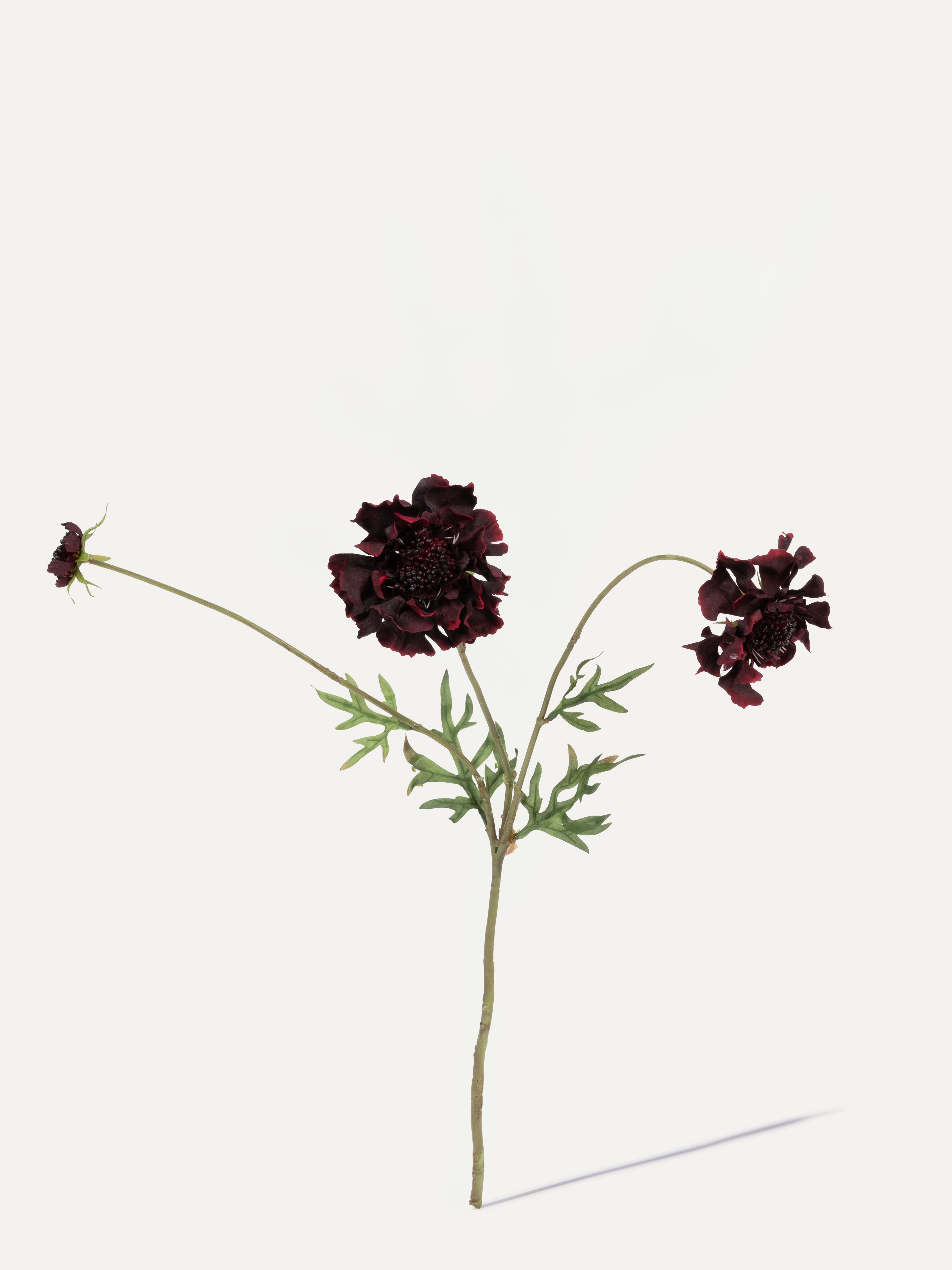 Skabiose 65 cm 1 Stk. - Kunstblume