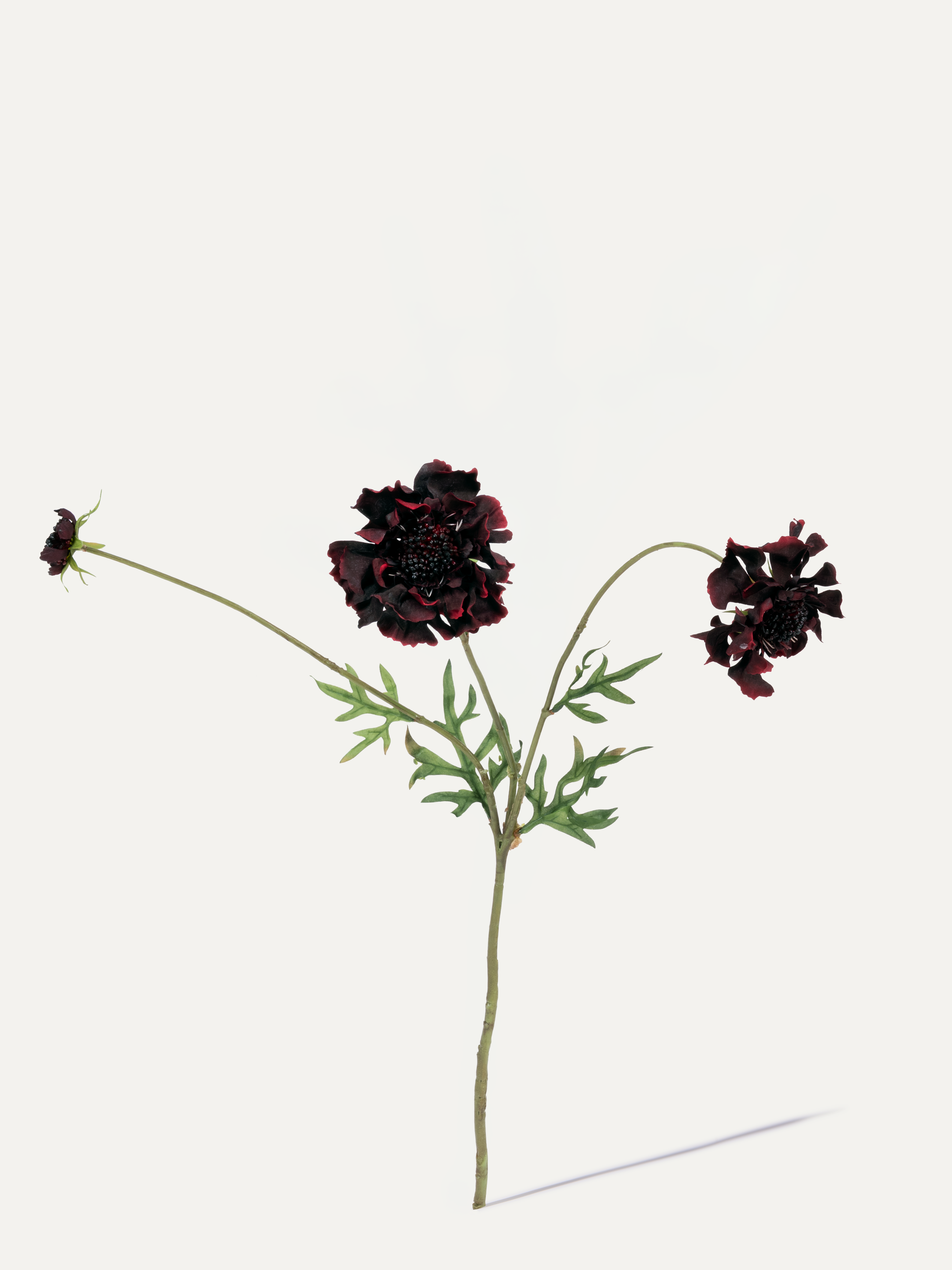 Scabiosa 65 cm 1 pc. - Artificial Flower