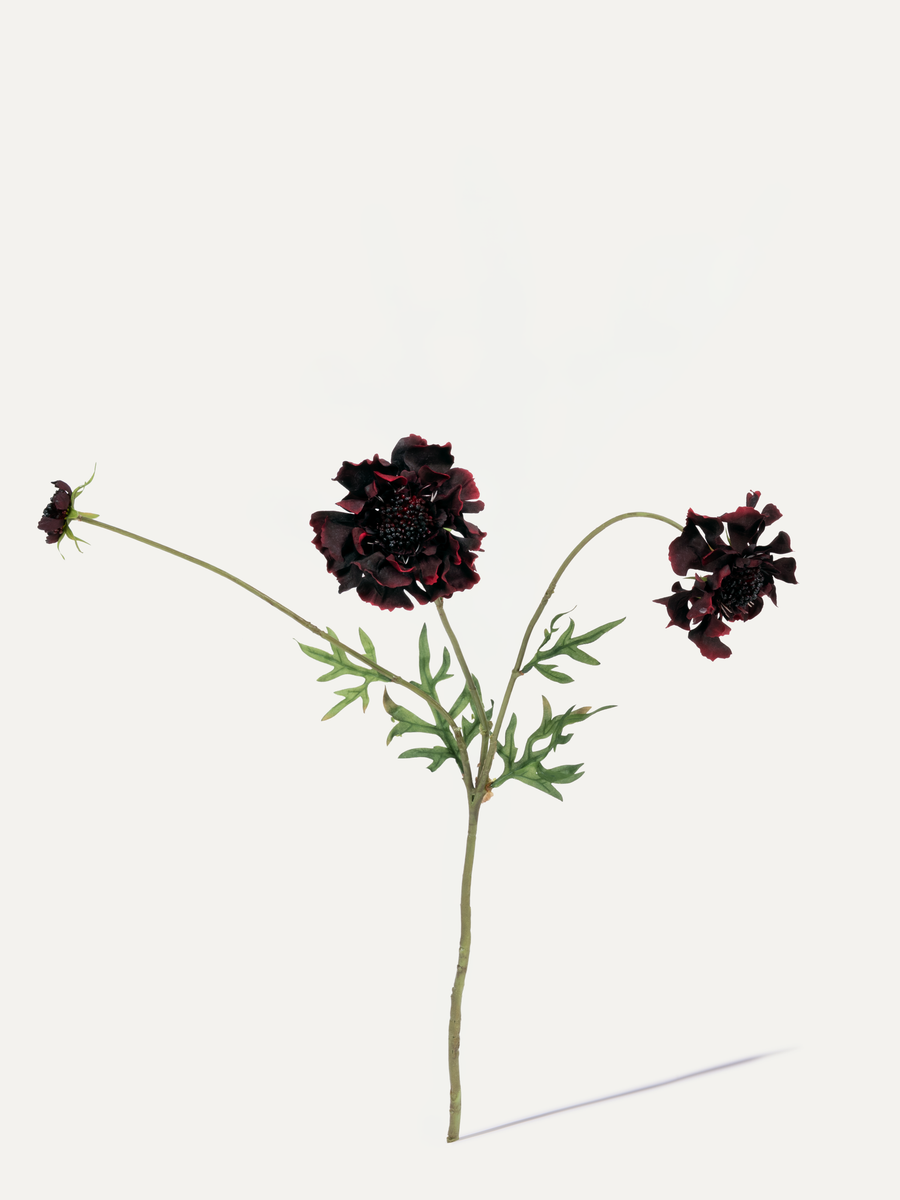 Scabieuse 65 cm 1 pce. - Fleur artificielle