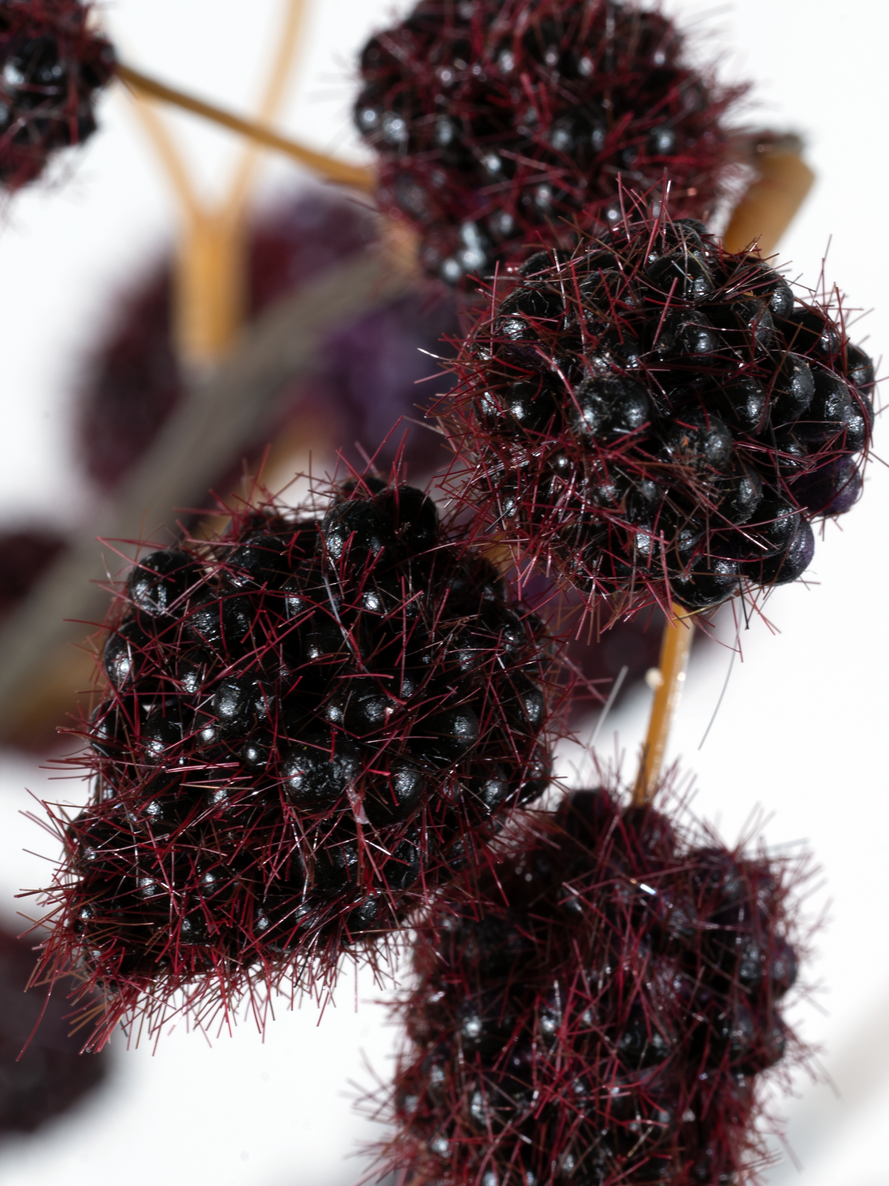 Raspberry branch 91 cm 1 pc. - Artificial branch