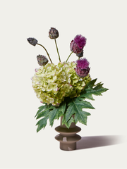 La taille de la figue S