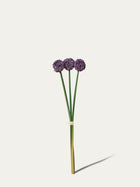 Kunstbündel Allium 55 cm 3 Stk. - Kunstblume
