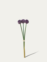 Kunstbündel Allium 55 cm 3 Stk. - Kunstblume