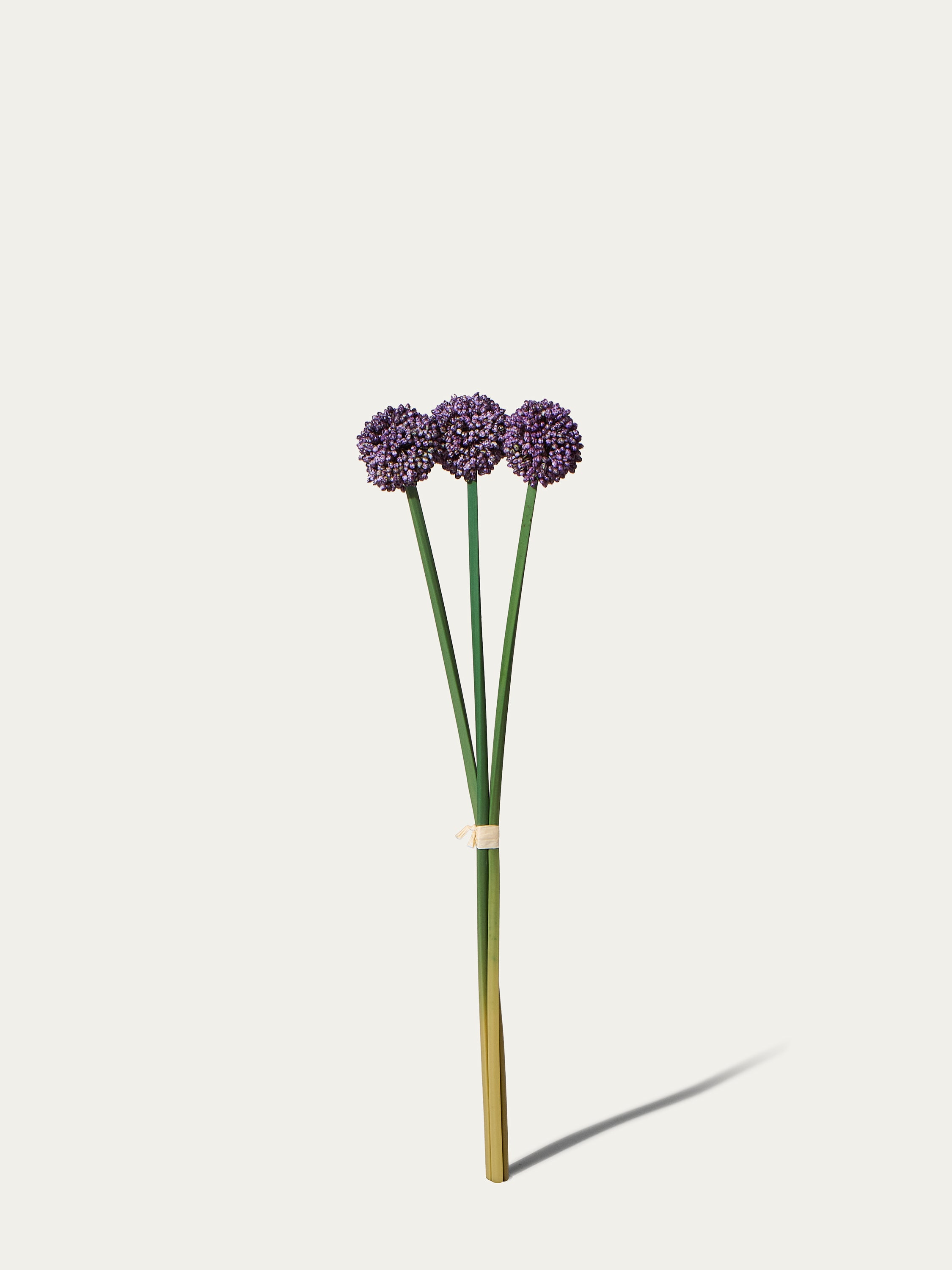 Kunstbündel Allium 55 cm 3 Stk. - Kunstblume
