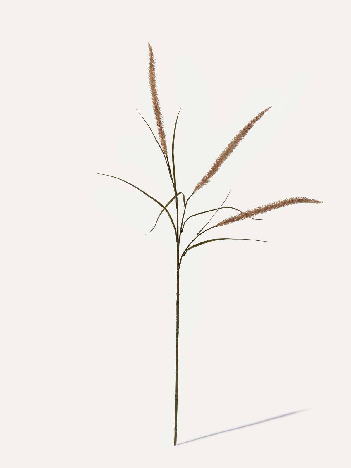 Lampenputzergras 128 cm 1 Stk. - Kunstzweig