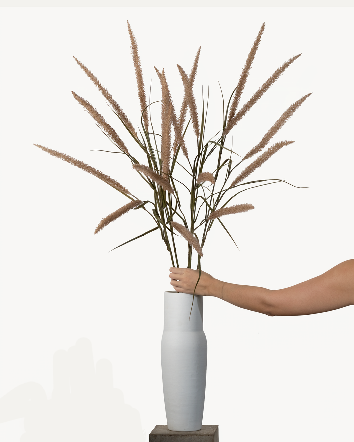 Lampenputzergras 128 cm 1 Stk. - Kunstzweig