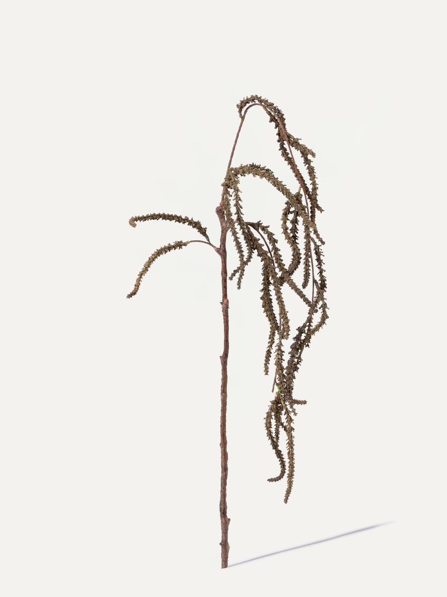 Garten-Fuchsschwanz 108 cm 1 Stk. - Kunstzweig