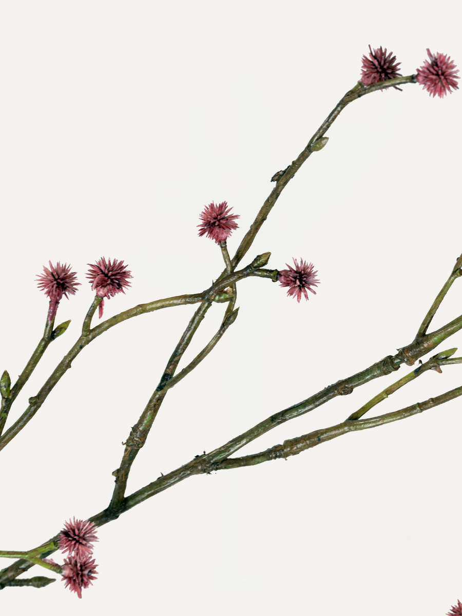 Edeldistel 100 cm 1 Stk. - Kunstzweig