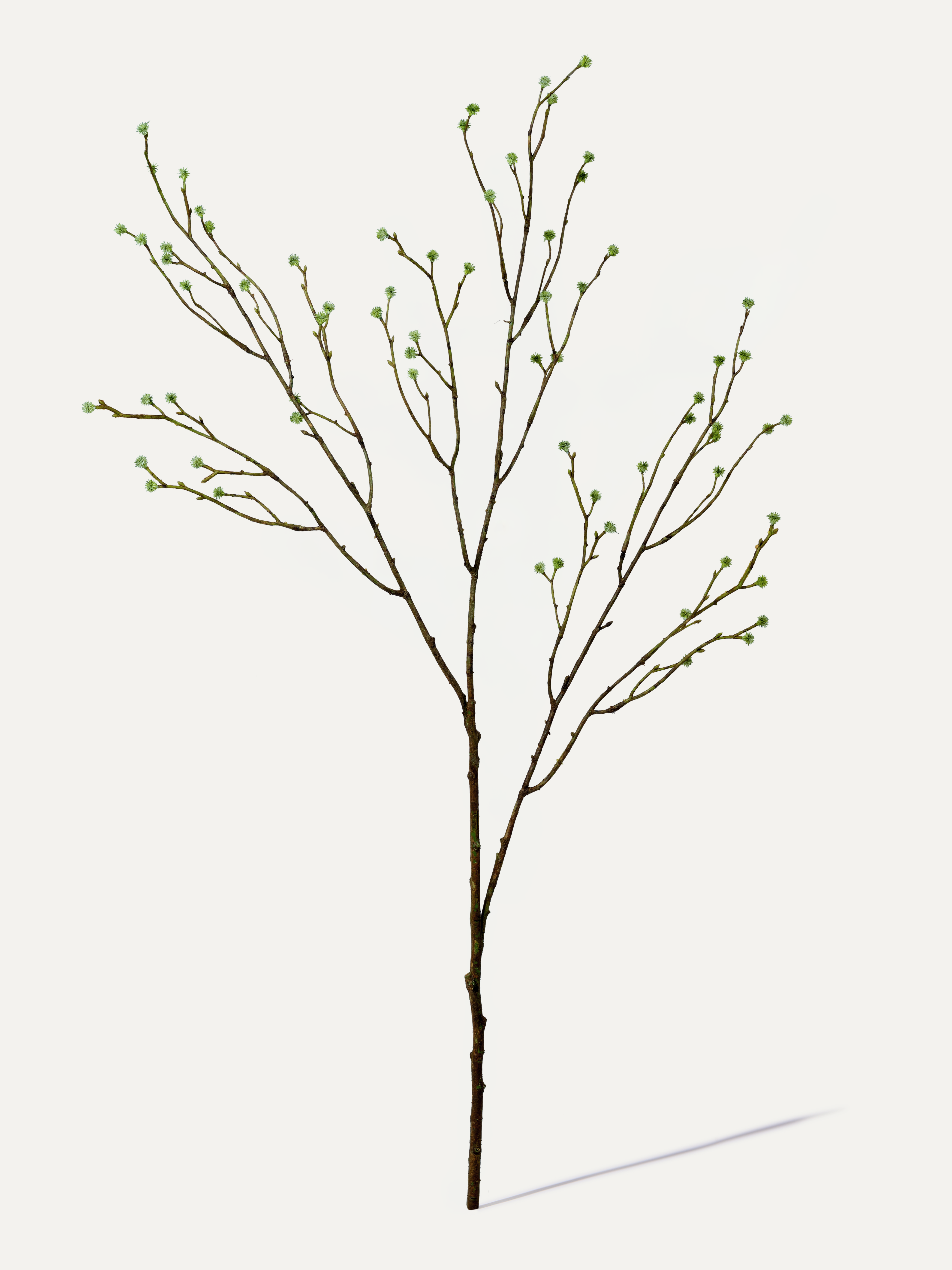 Chardon 100 cm 1 pce - Branche artificielle