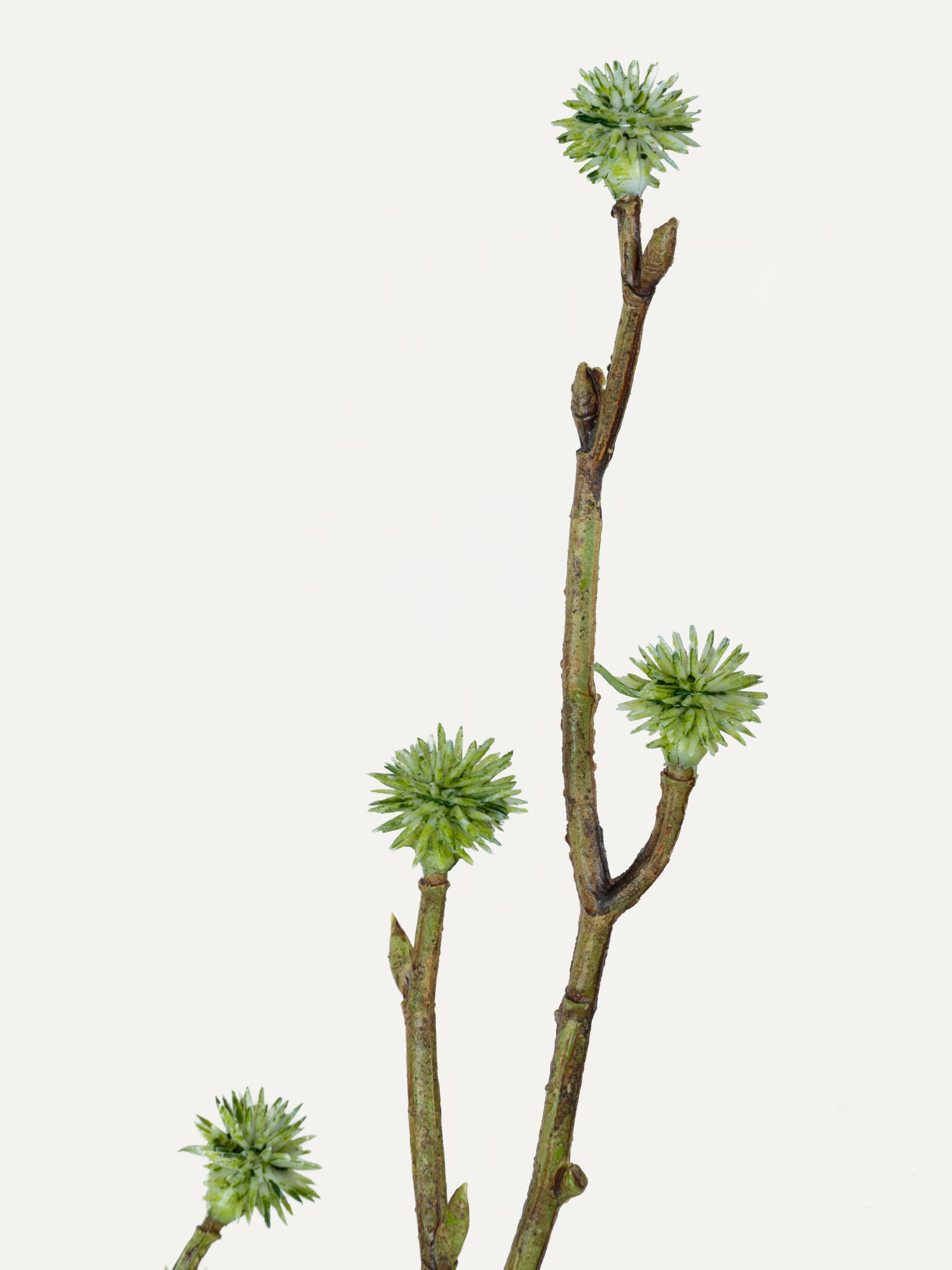 Chardon 100 cm 1 pce - Branche artificielle