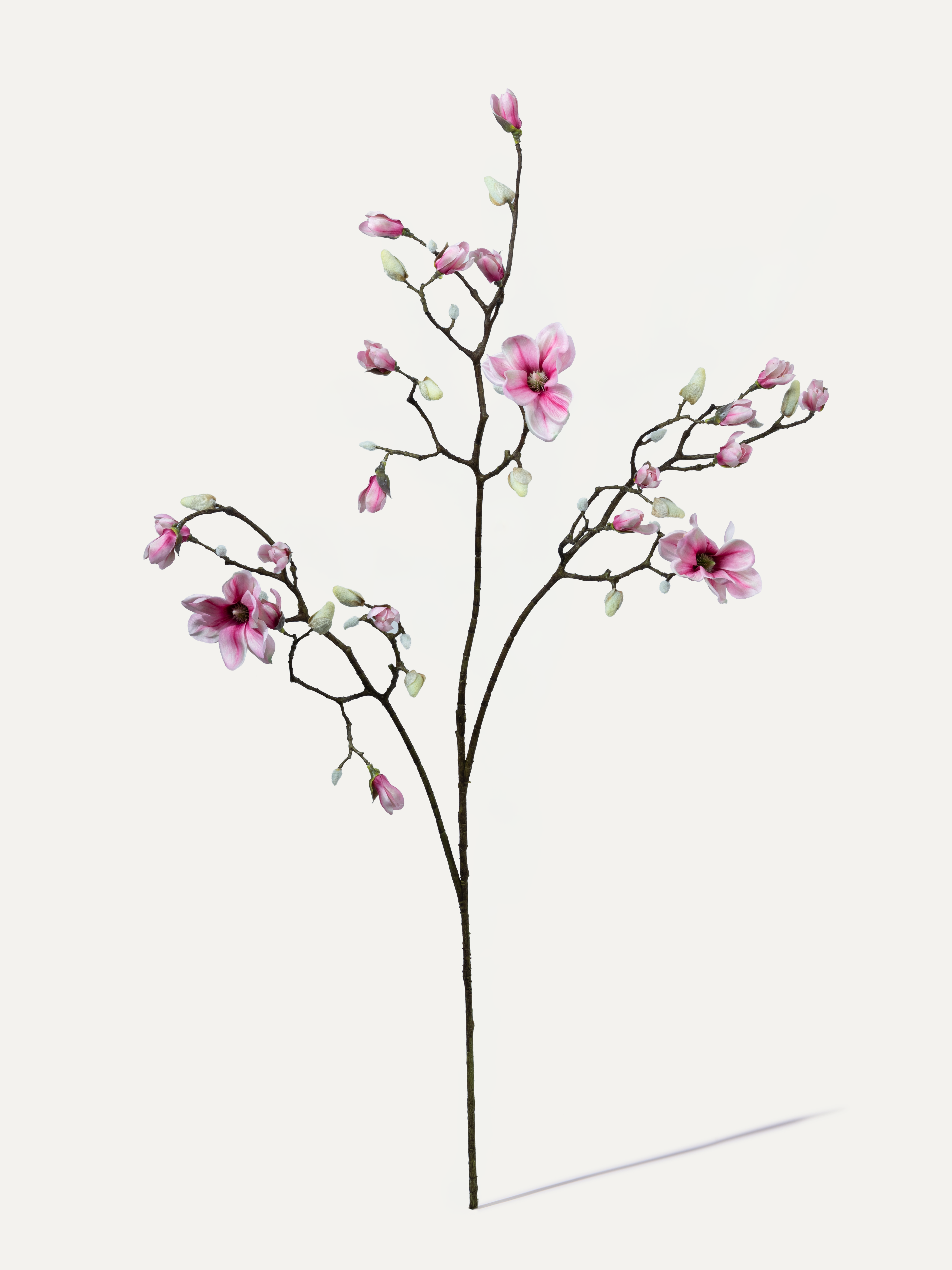 Magnolia Branch 123 cm 1 pc. - Artificial Branch