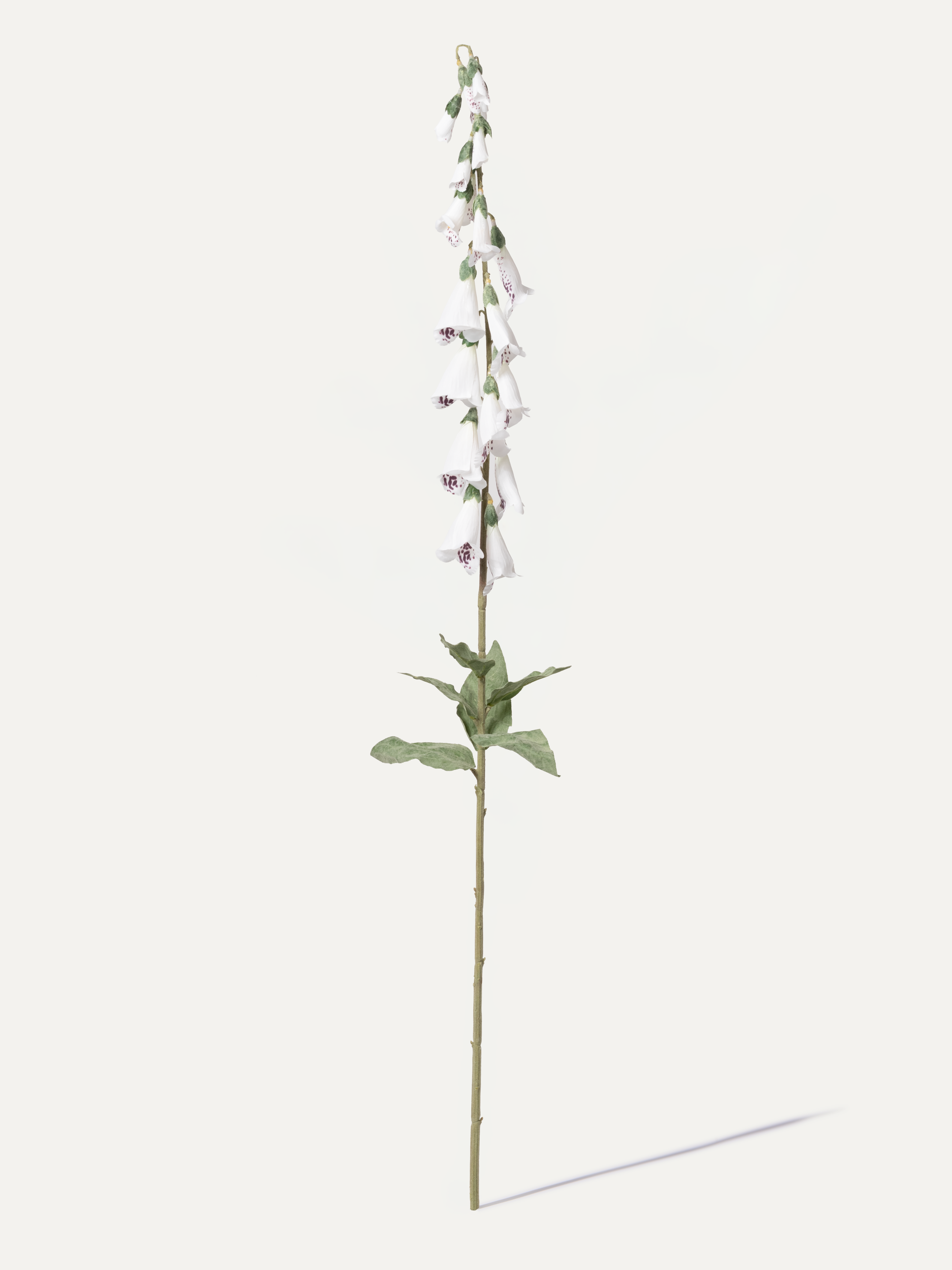 Fingerhut 106 cm 1 Stk. - Kunstblume