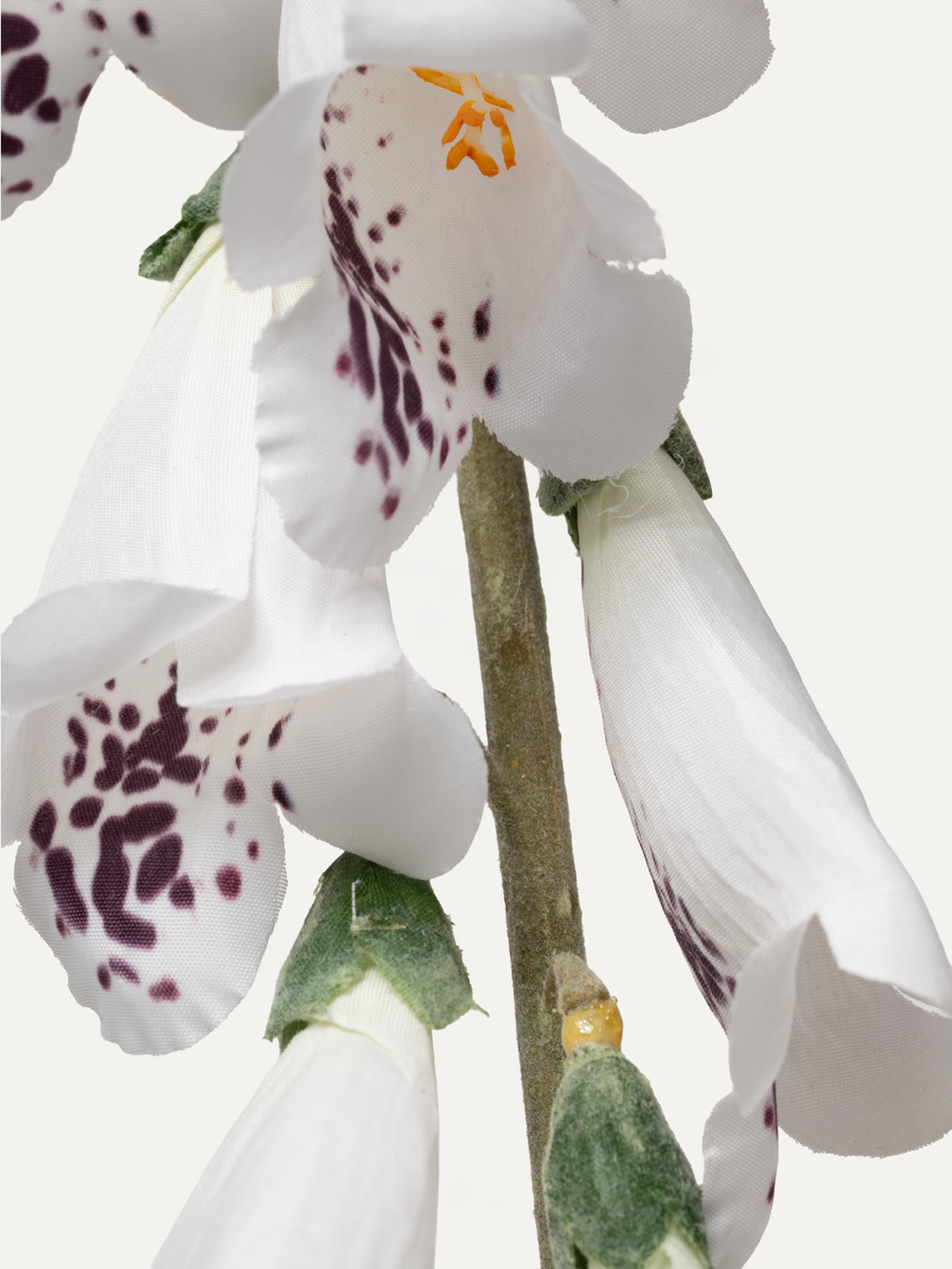 Fingerhut 106 cm 1 Stk. - Kunstblume