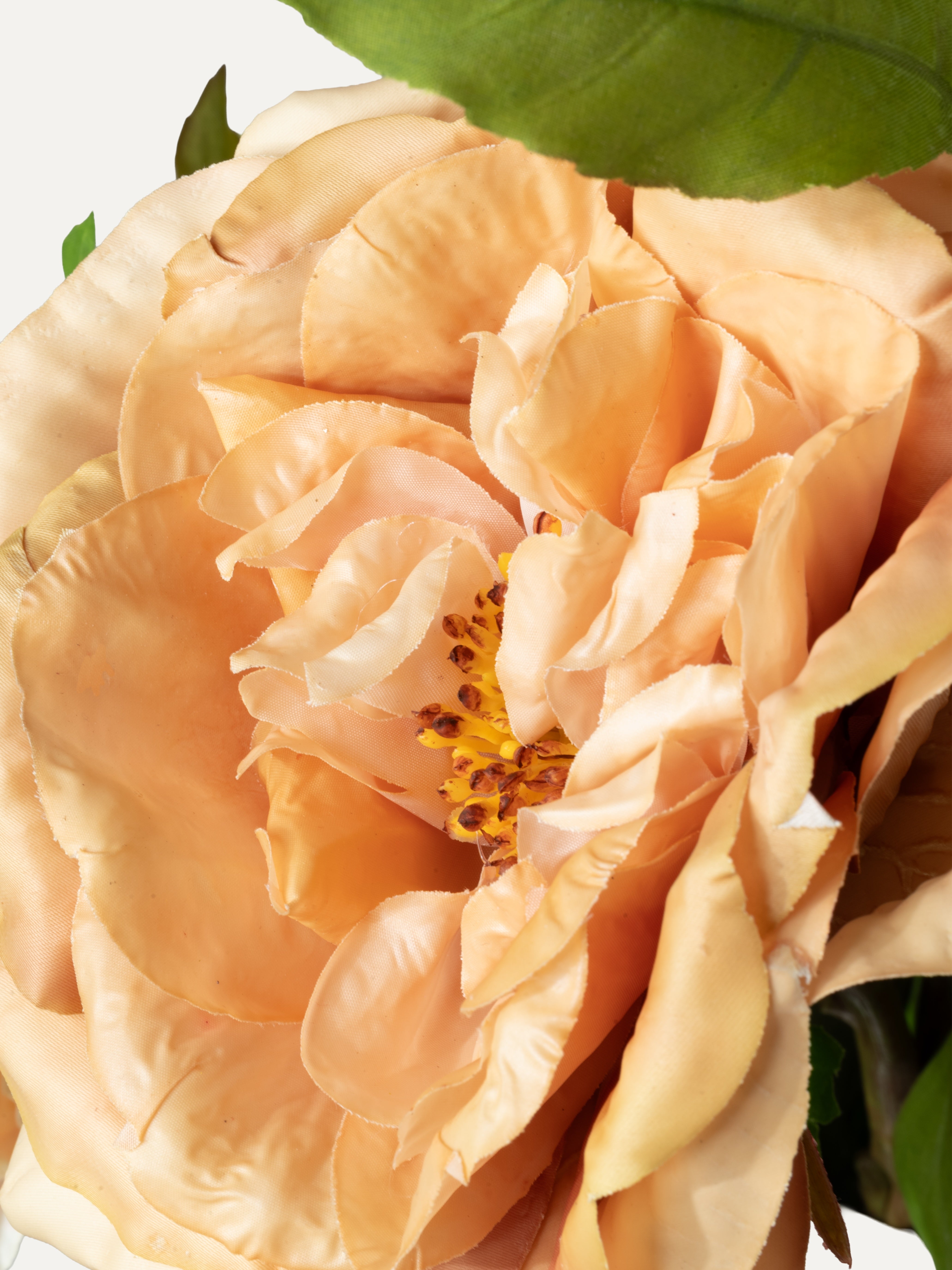Bouquet "Ancona" - Size L
